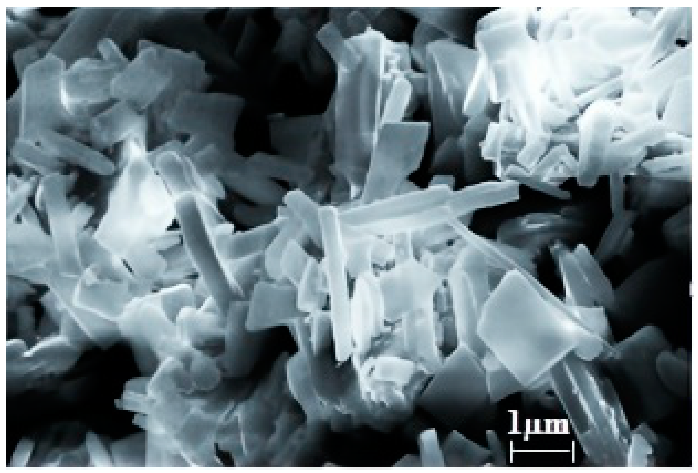 Polymers 15 04539 g001