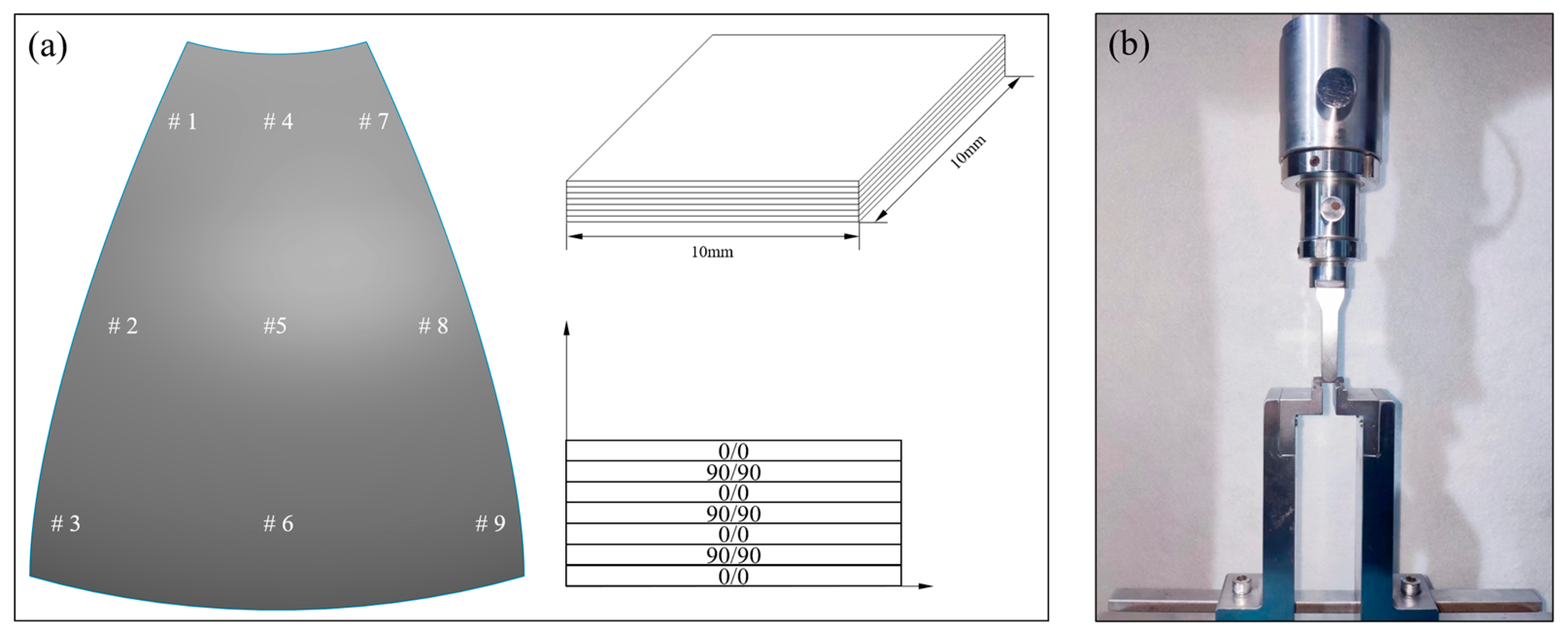 Polymers 15 04541 g004