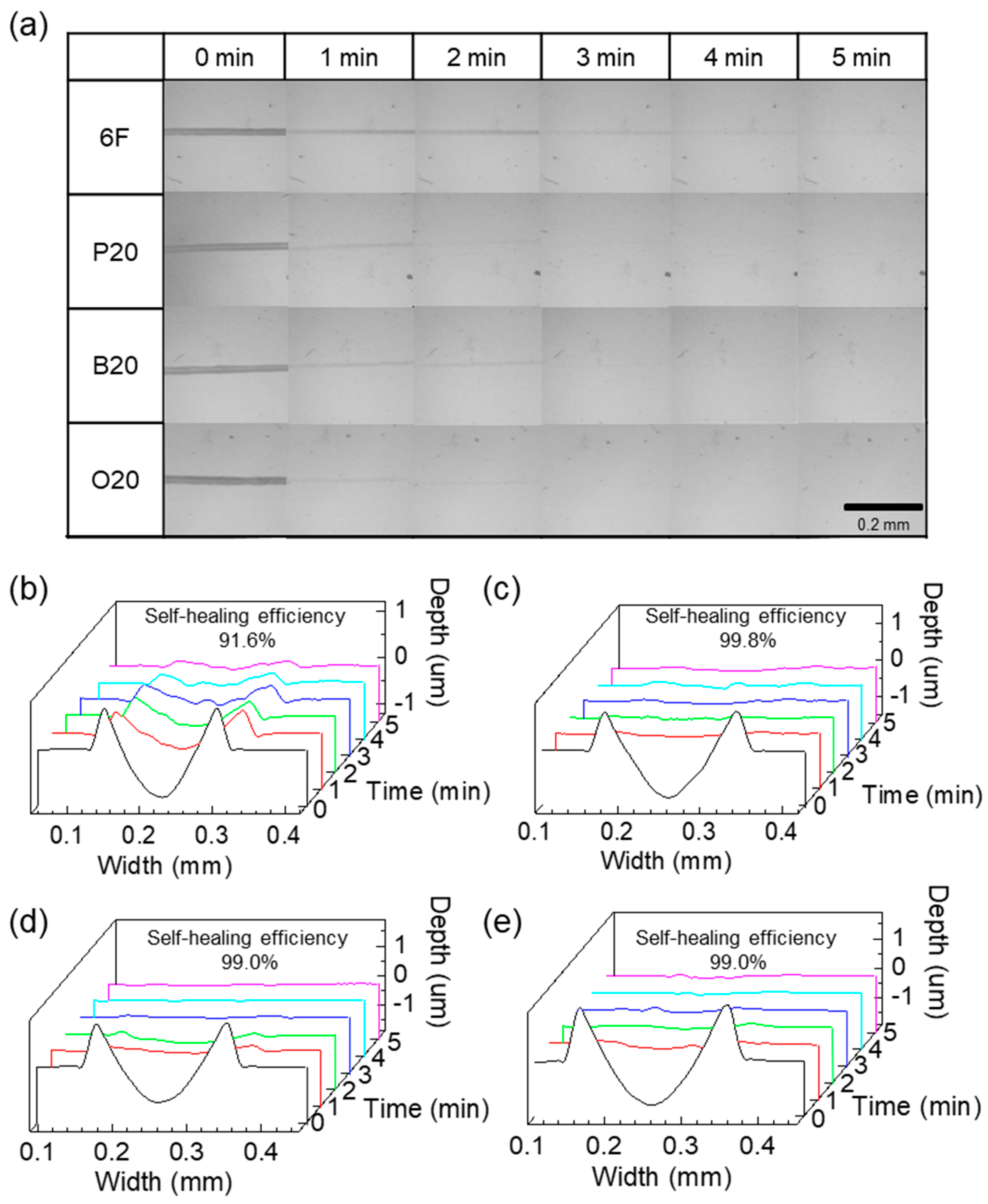 Polymers 15 04544 g003