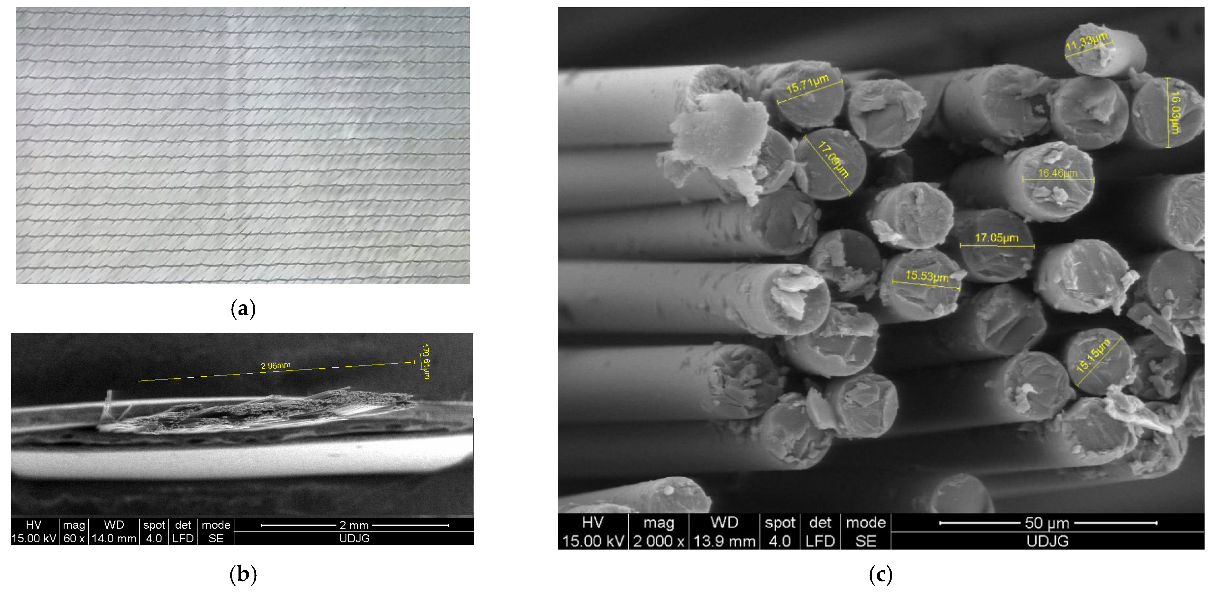Polymers 15 04549 g001