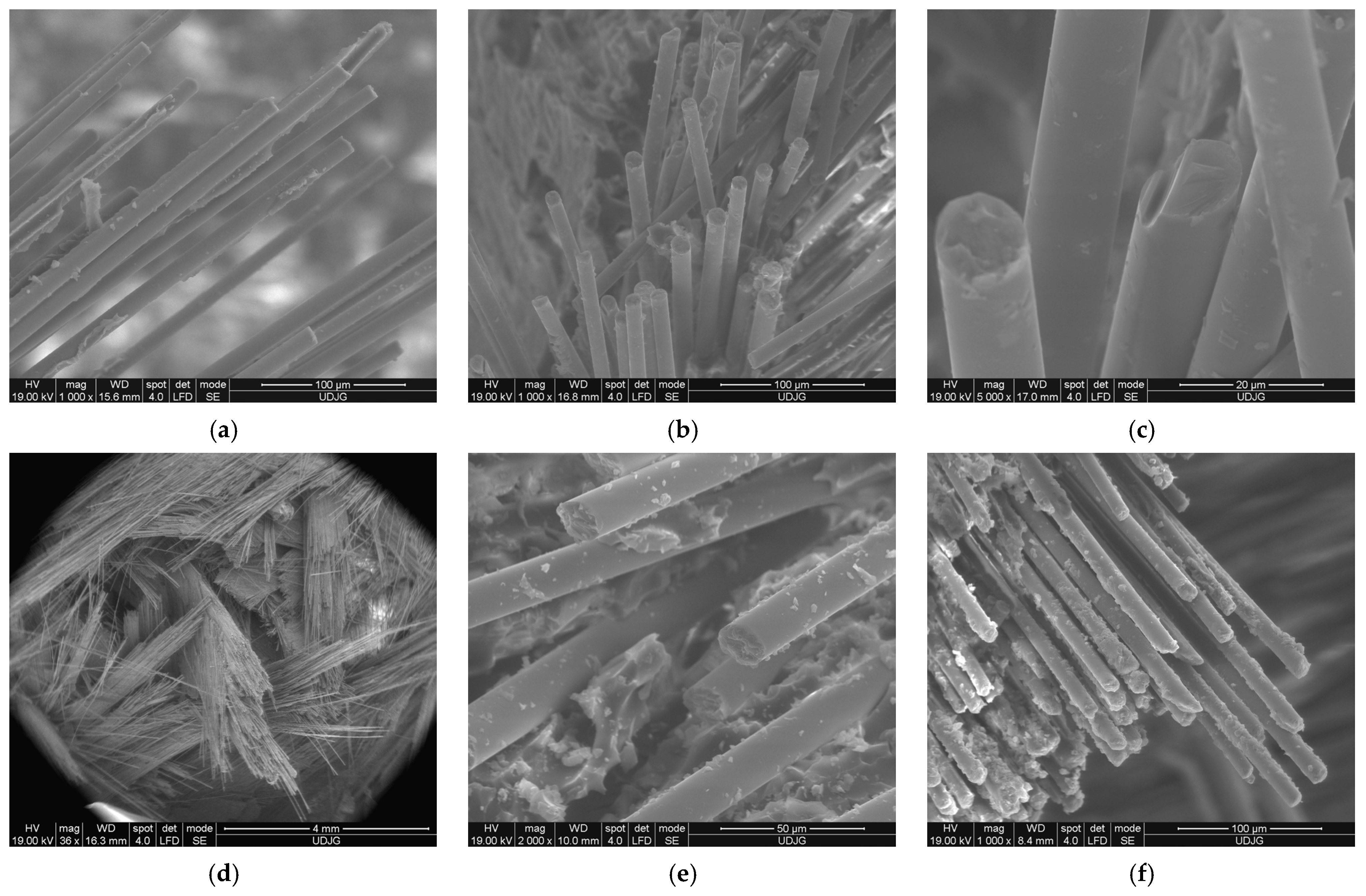 Polymers 15 04549 g019