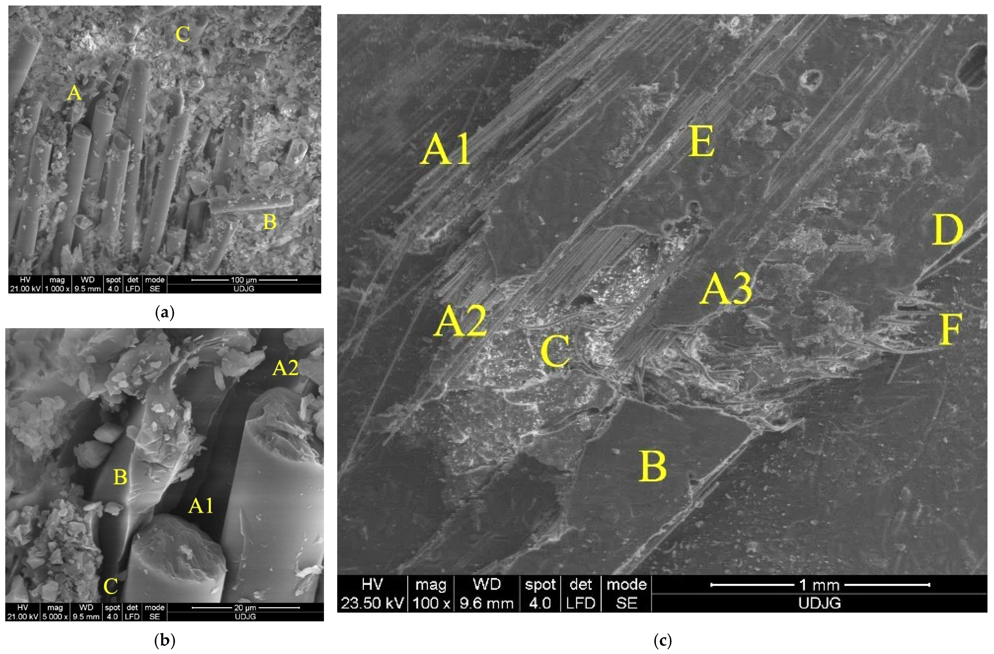 Polymers 15 04549 g020