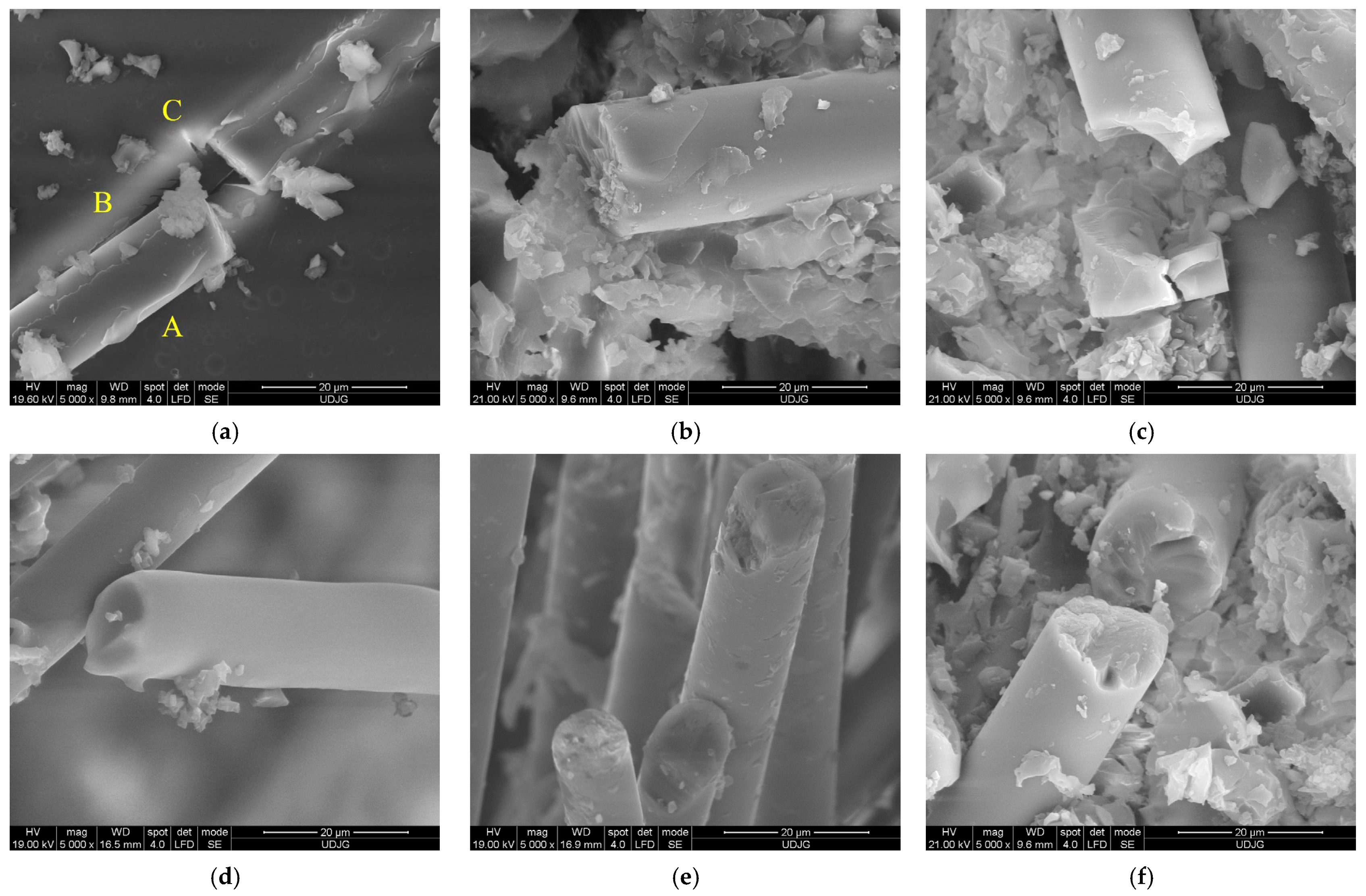 Polymers 15 04549 g021