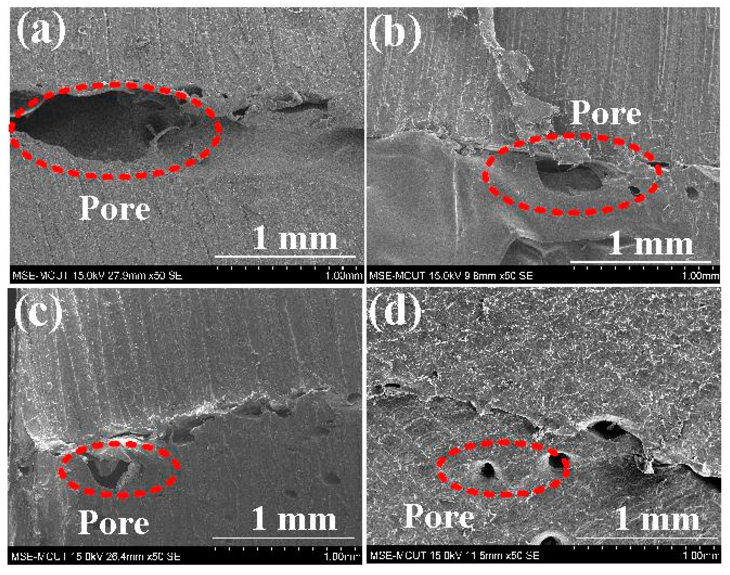 Polymers 15 04552 g017