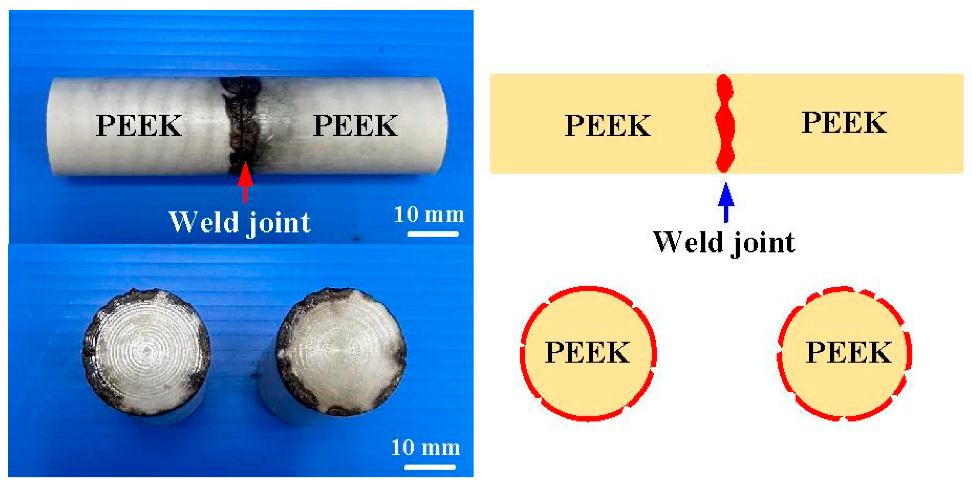 Polymers 15 04552 g018
