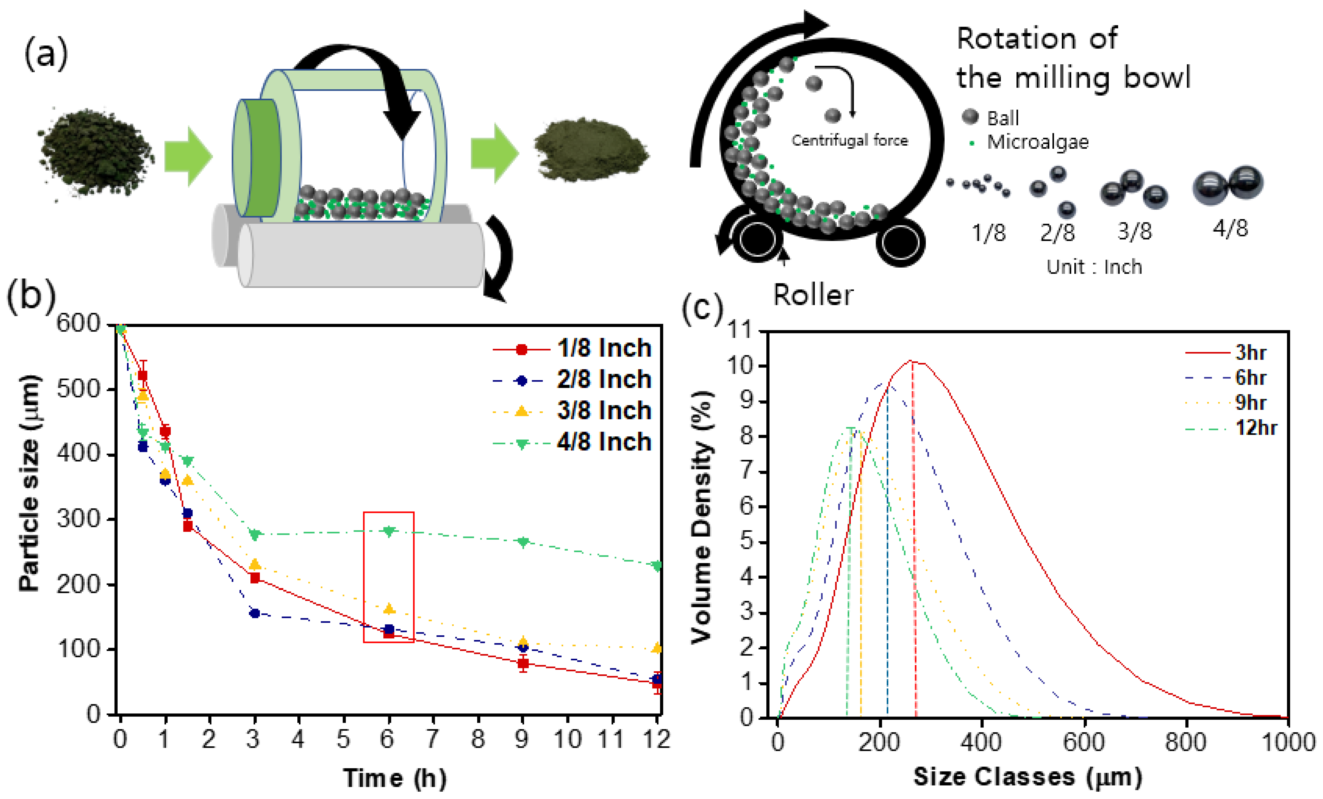 Polymers 15 04557 g001