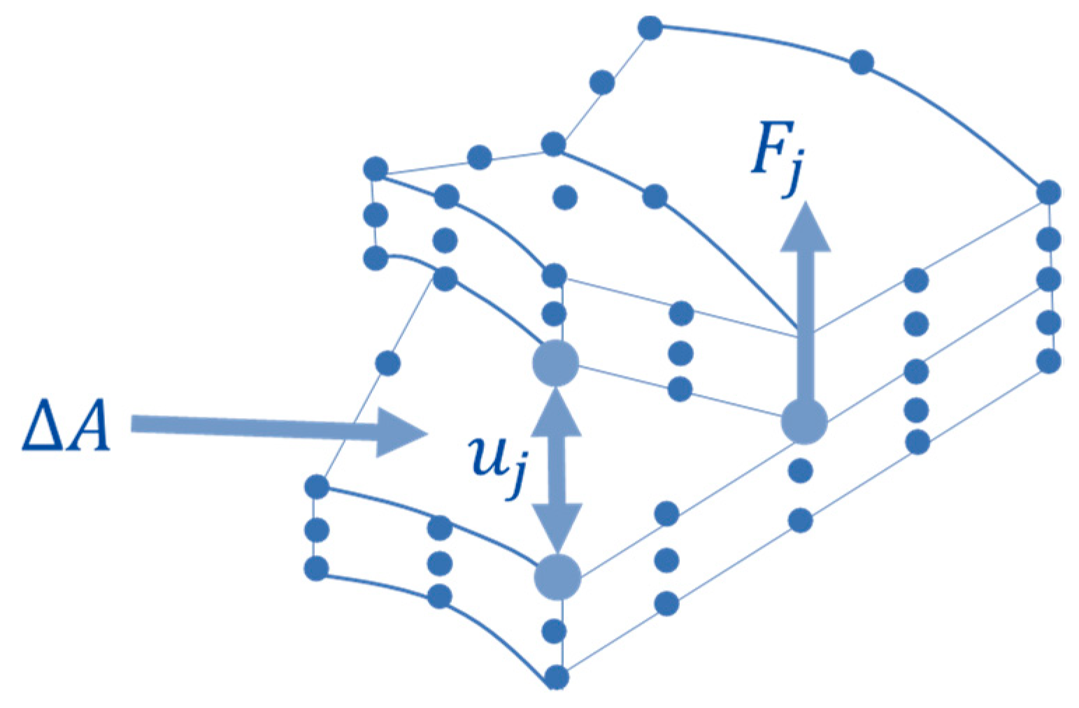 Polymers 15 04559 g004