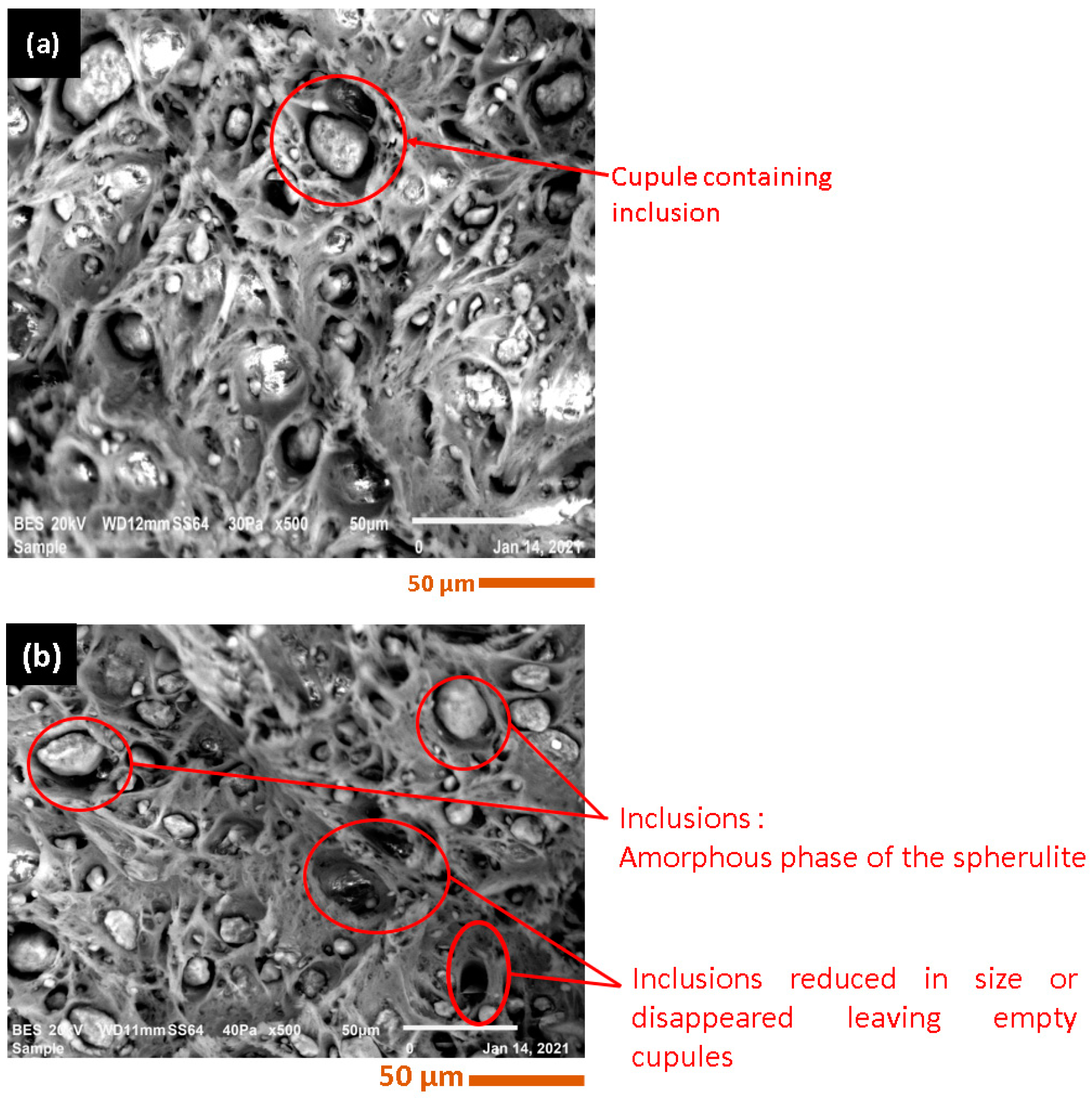 Polymers 15 04561 g005