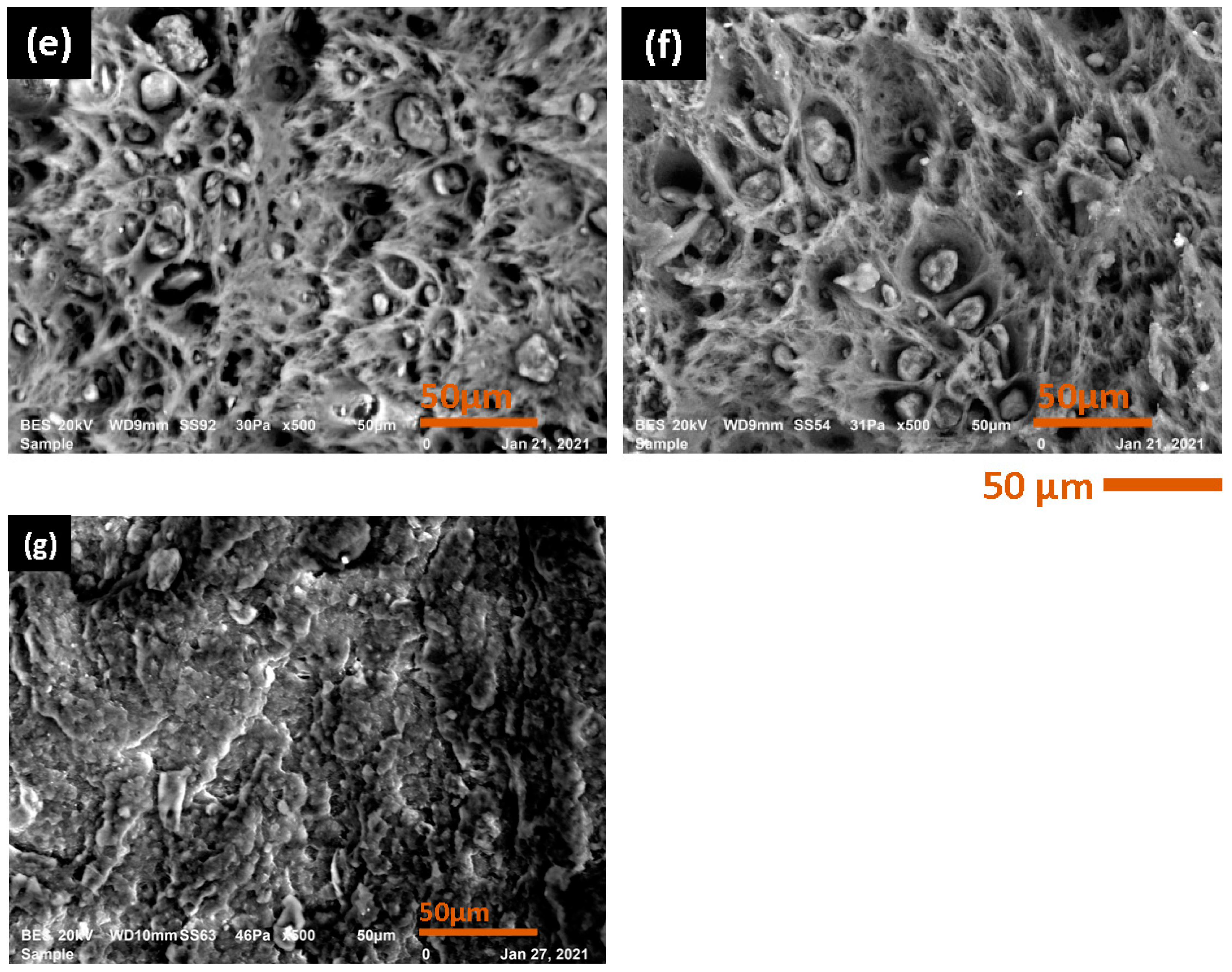 Polymers 15 04561 g006b