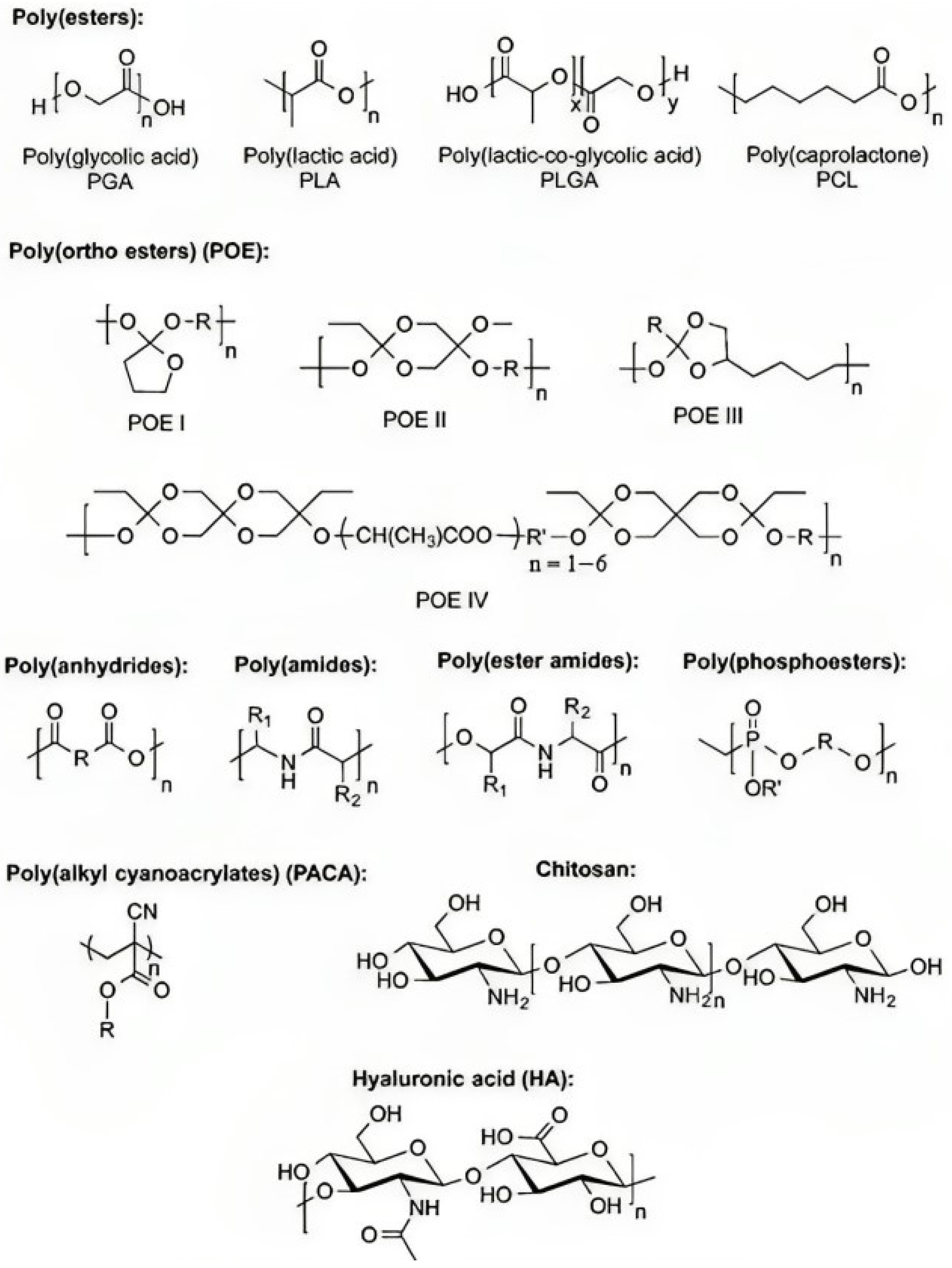 Polymers 15 04563 g004 Polymers 15 04563 g004
