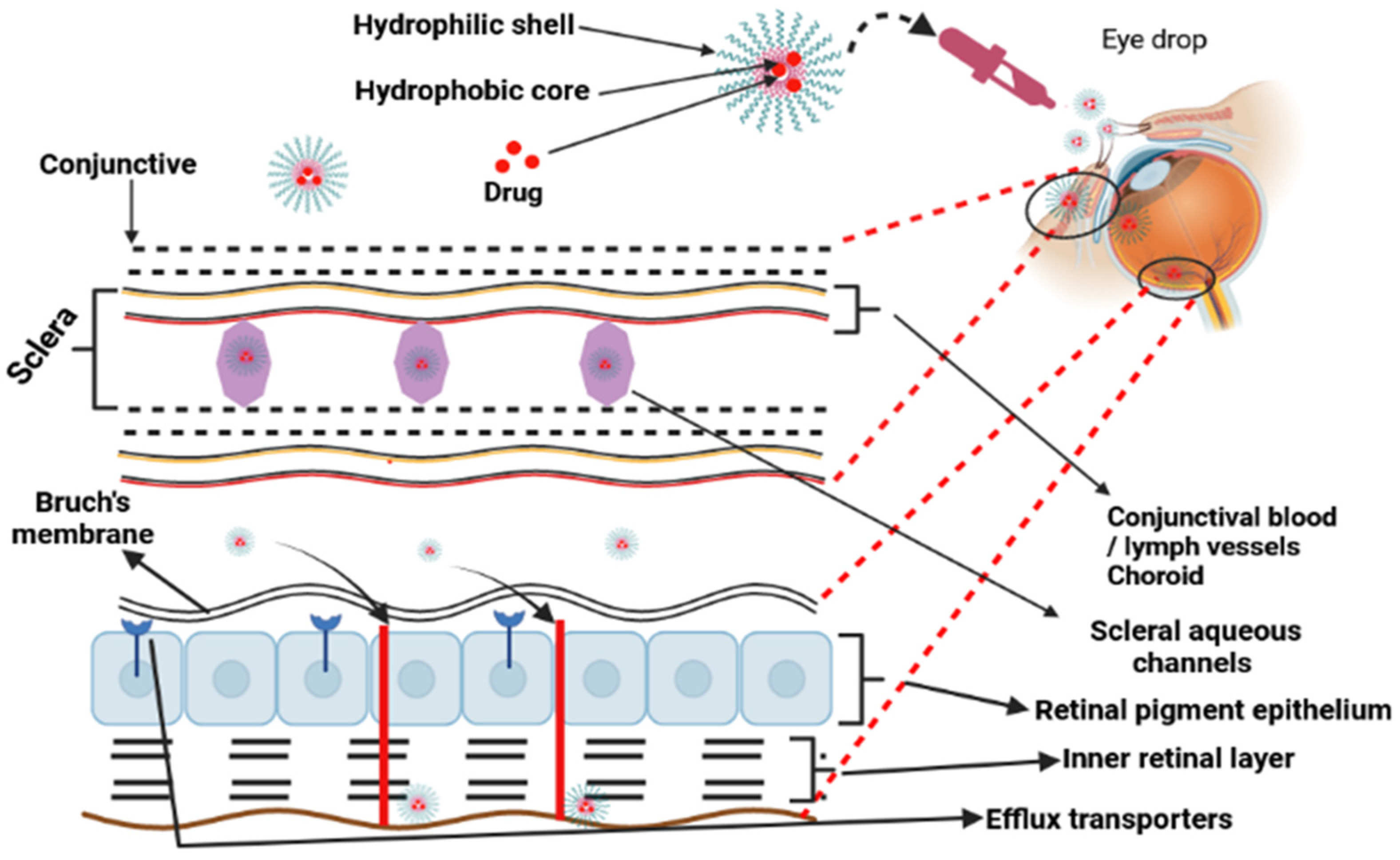 Polymers 15 04563 g005 Polymers 15 04563 g005