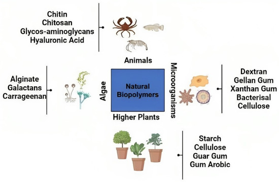 Recent Advances in Micro- and Nano-Drug Delivery Systems Based on