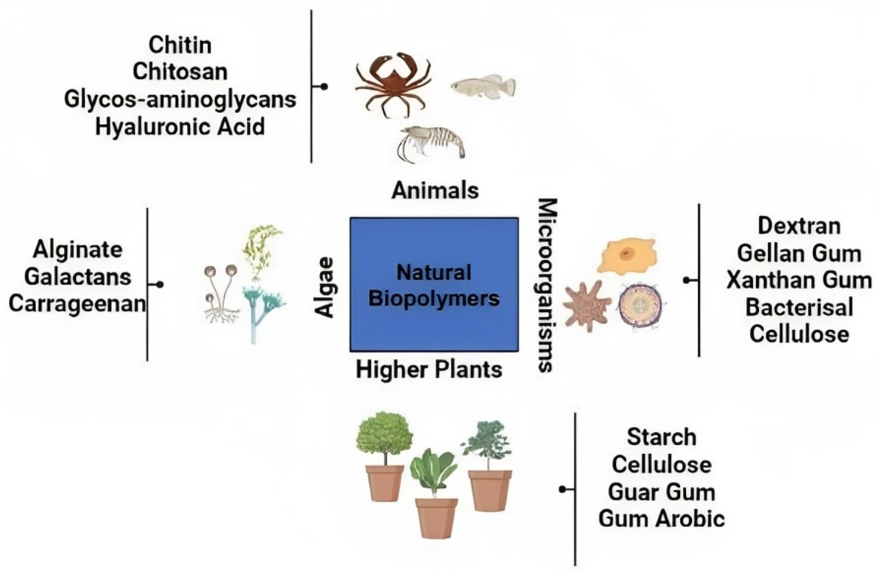 Polymers 15 04563 g006 Polymers 15 04563 g006