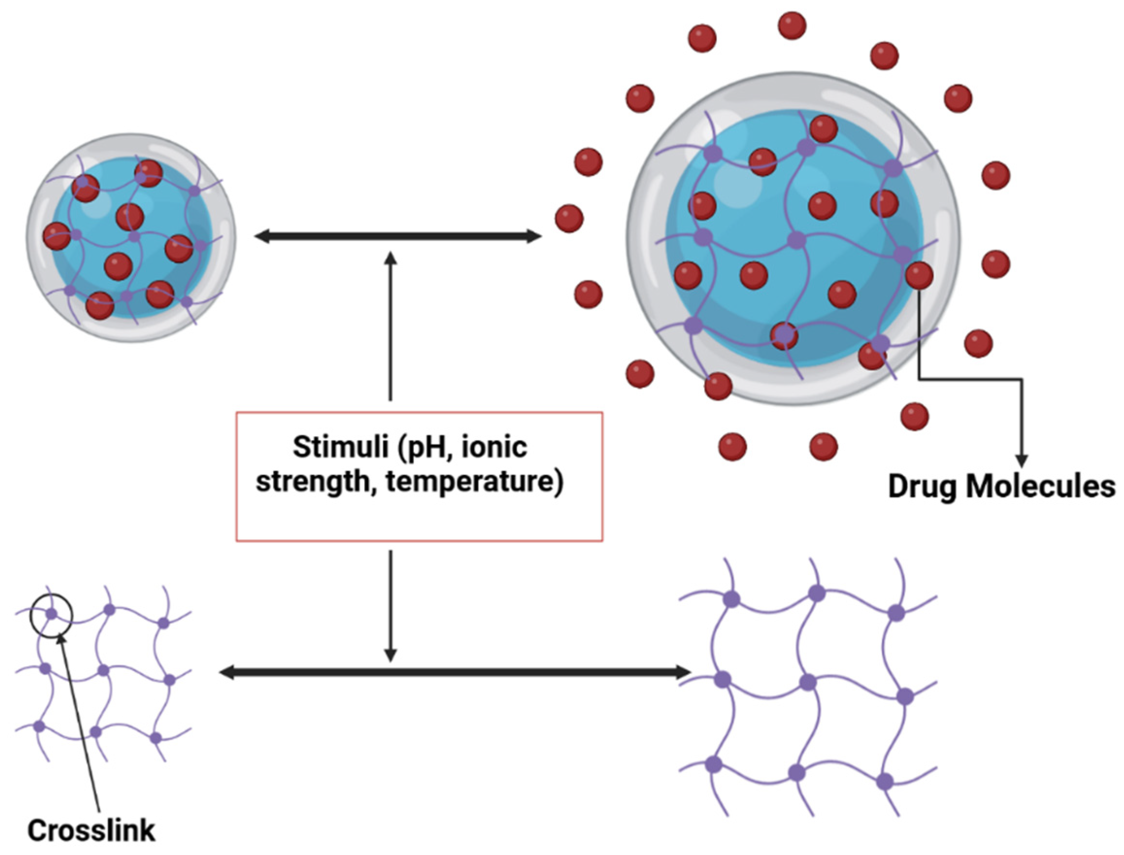 Polymers 15 04563 g009 Polymers 15 04563 g009