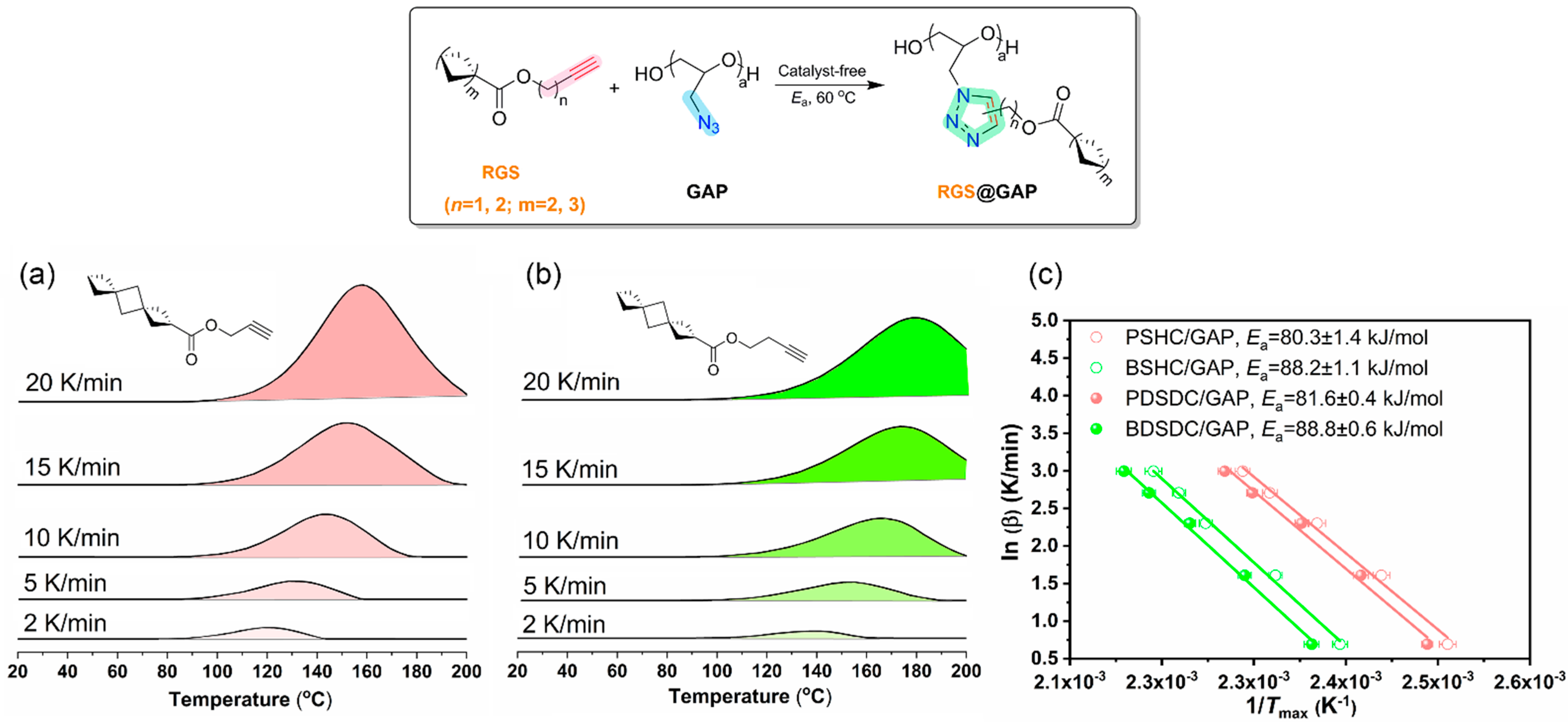 Polymers 15 04564 g003