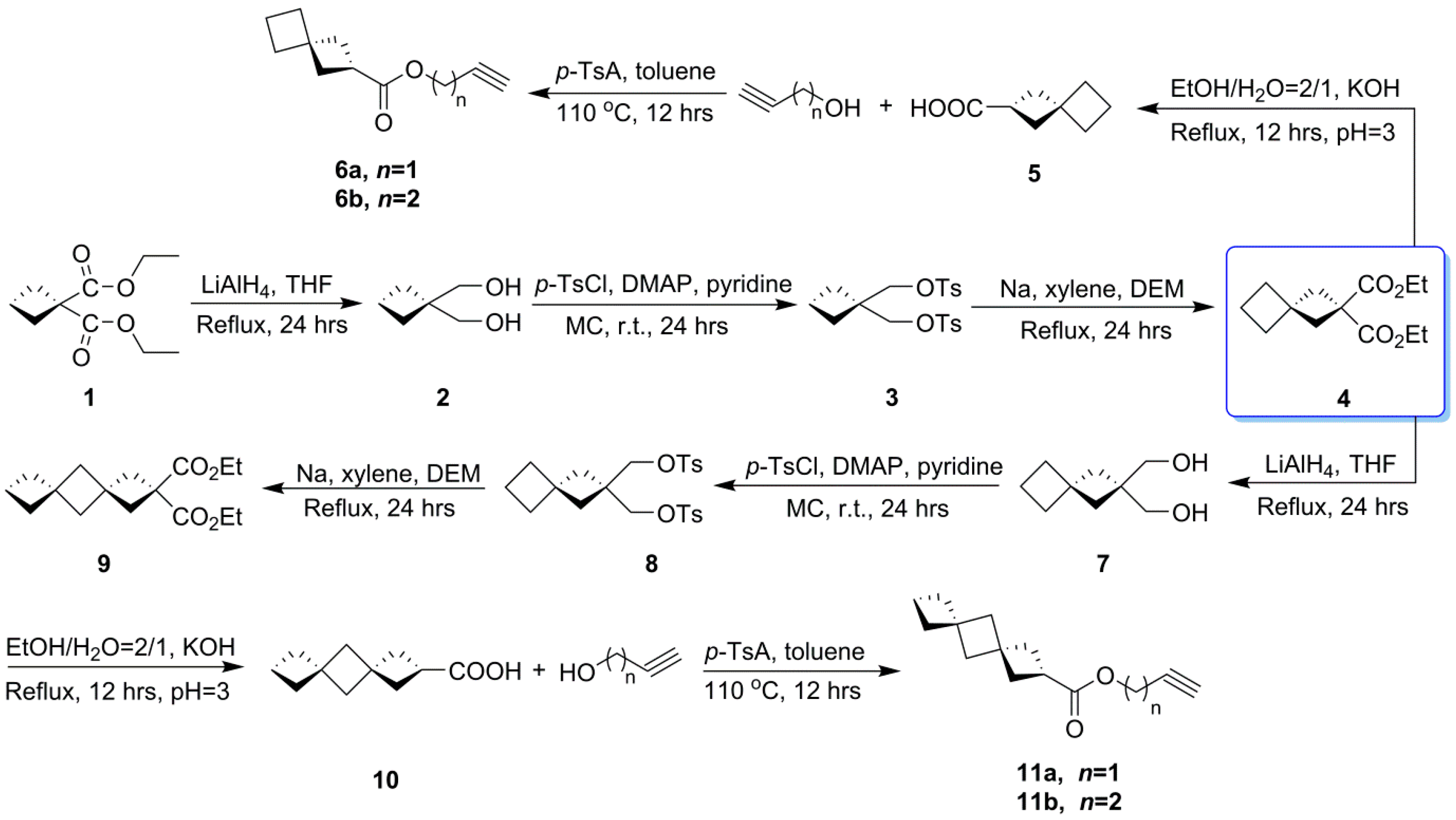 Polymers 15 04564 sch001