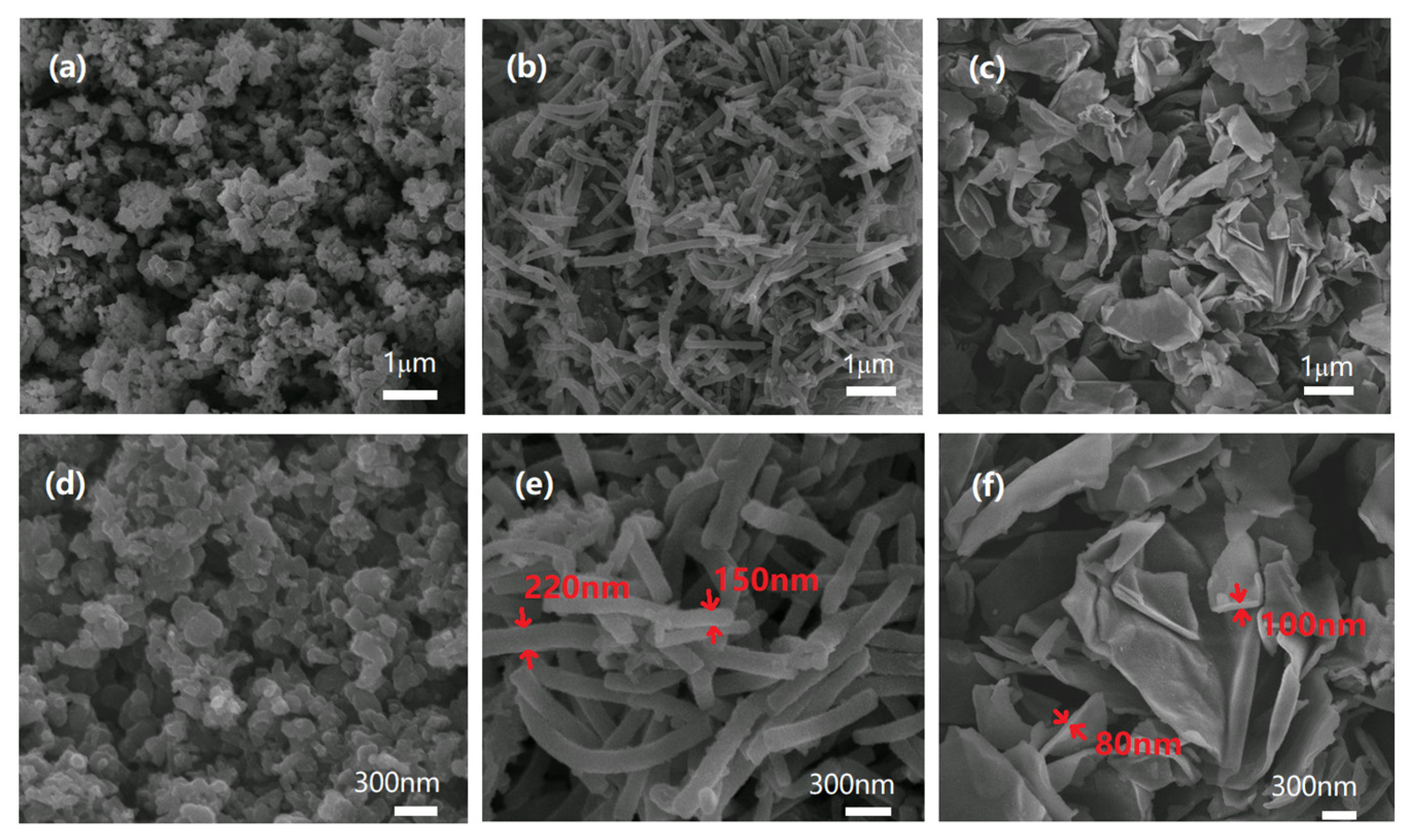 Polymers 15 04568 g005