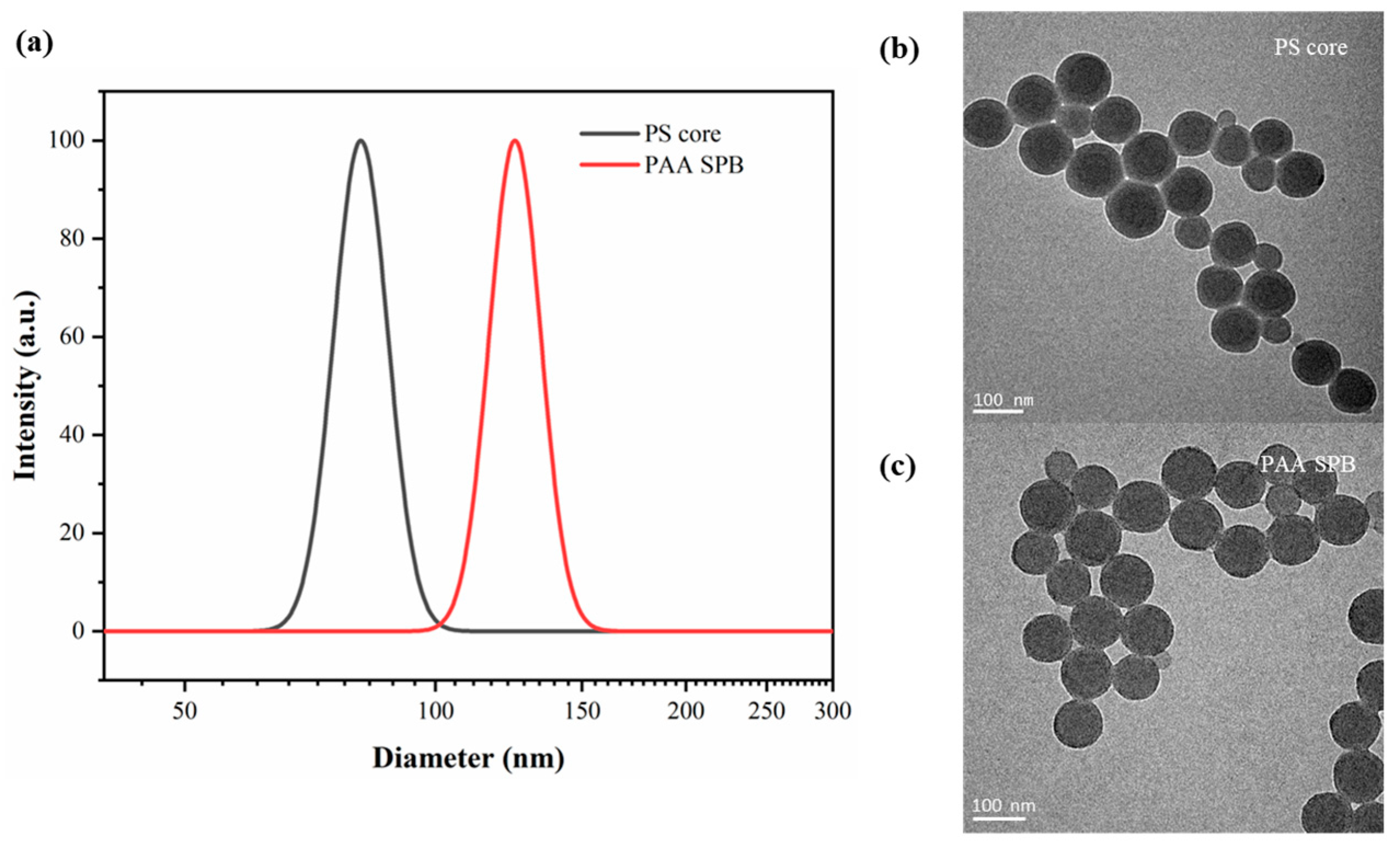 Polymers 15 04576 g002