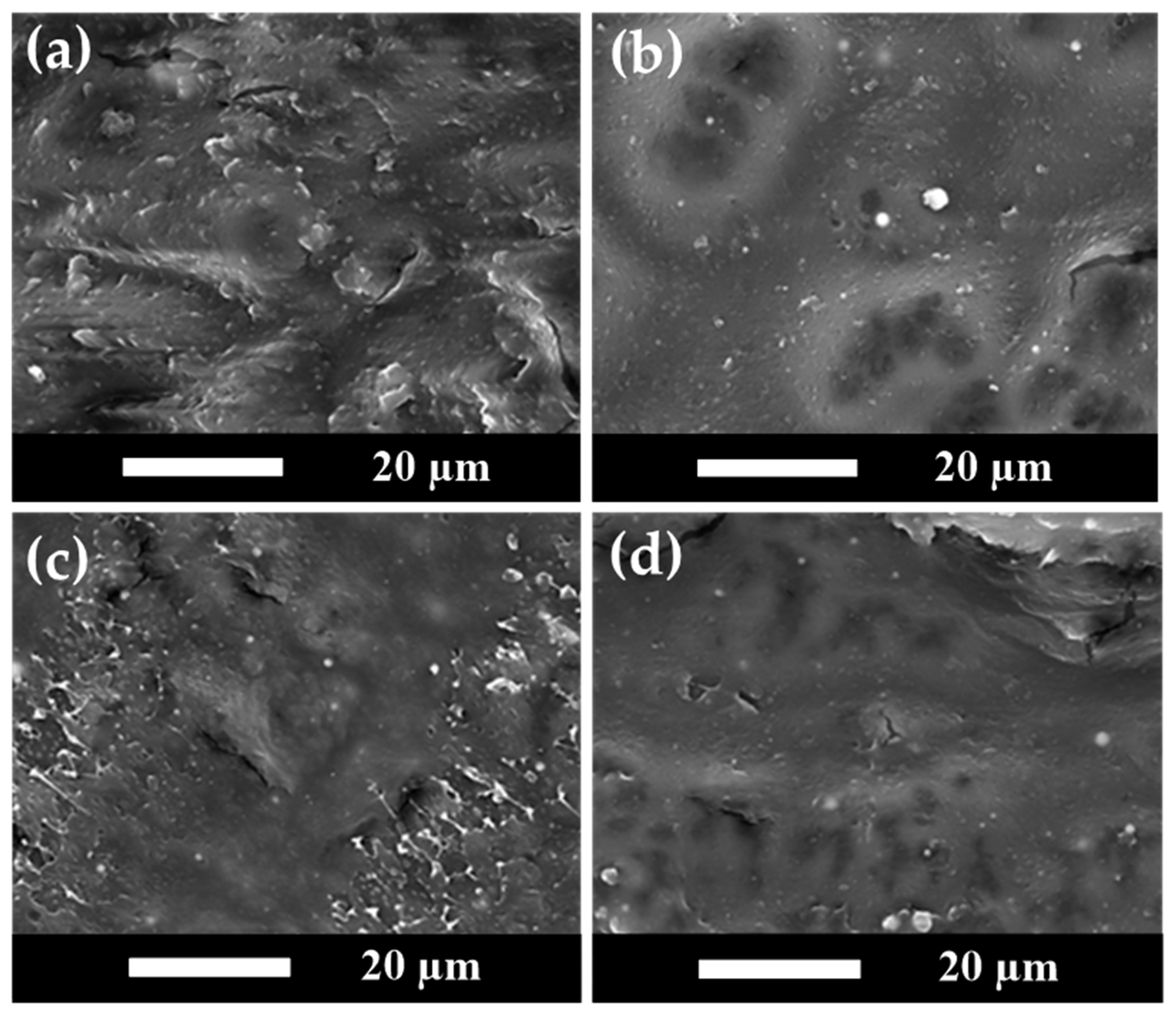 Polymers 15 04585 g006