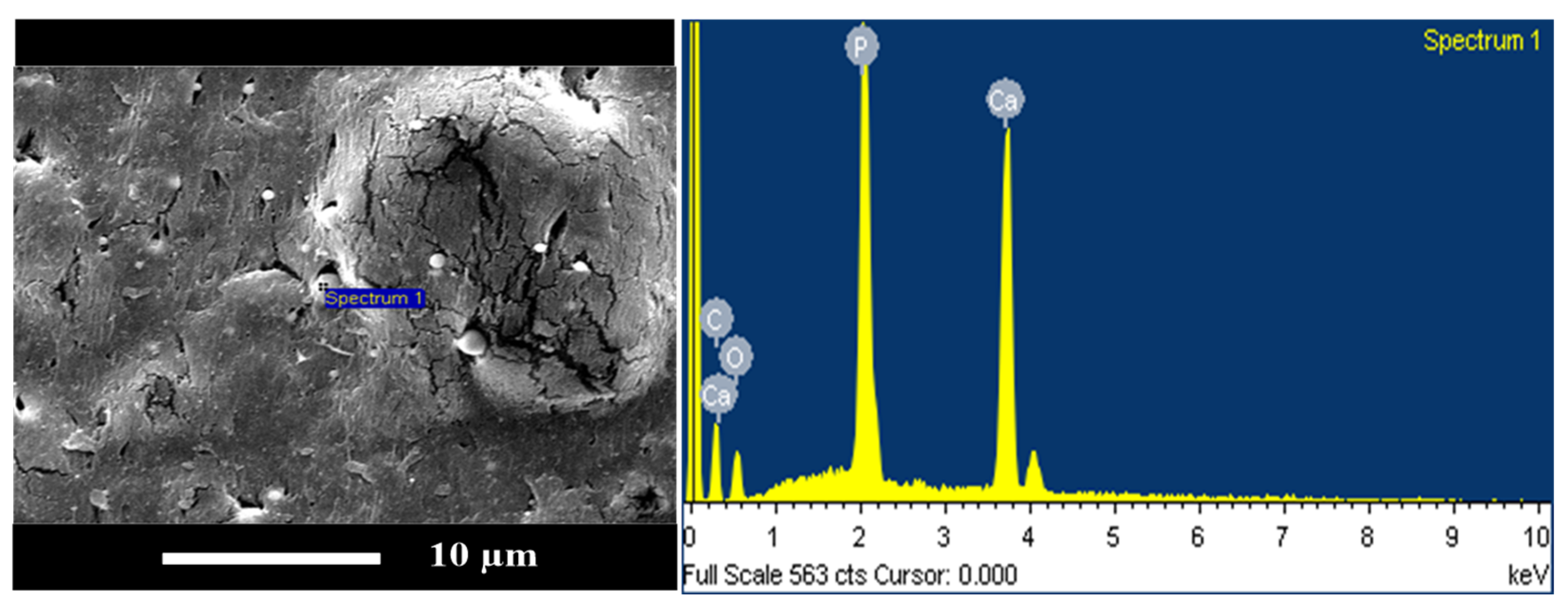 Polymers 15 04585 g008