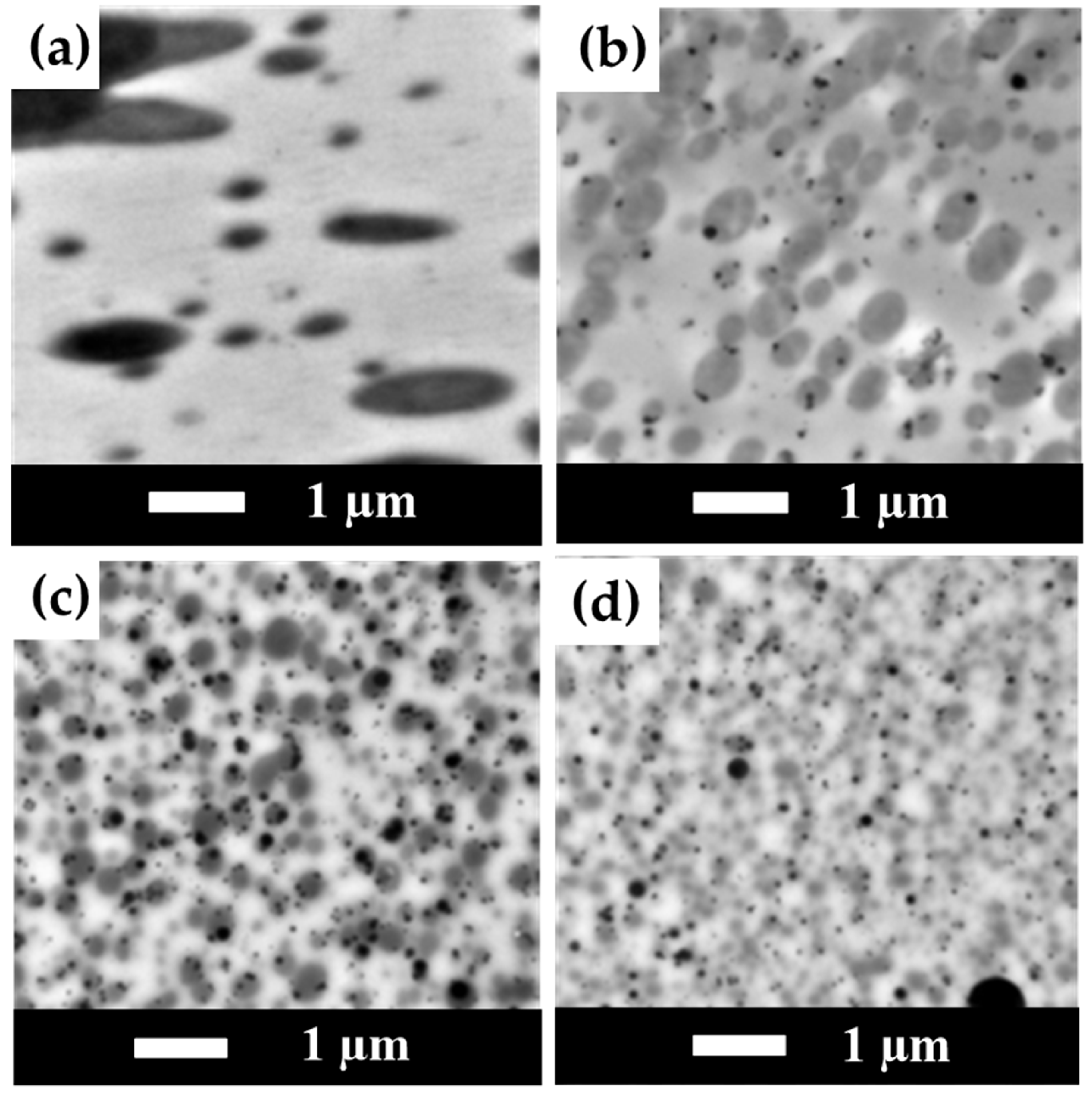 Polymers 15 04585 g009