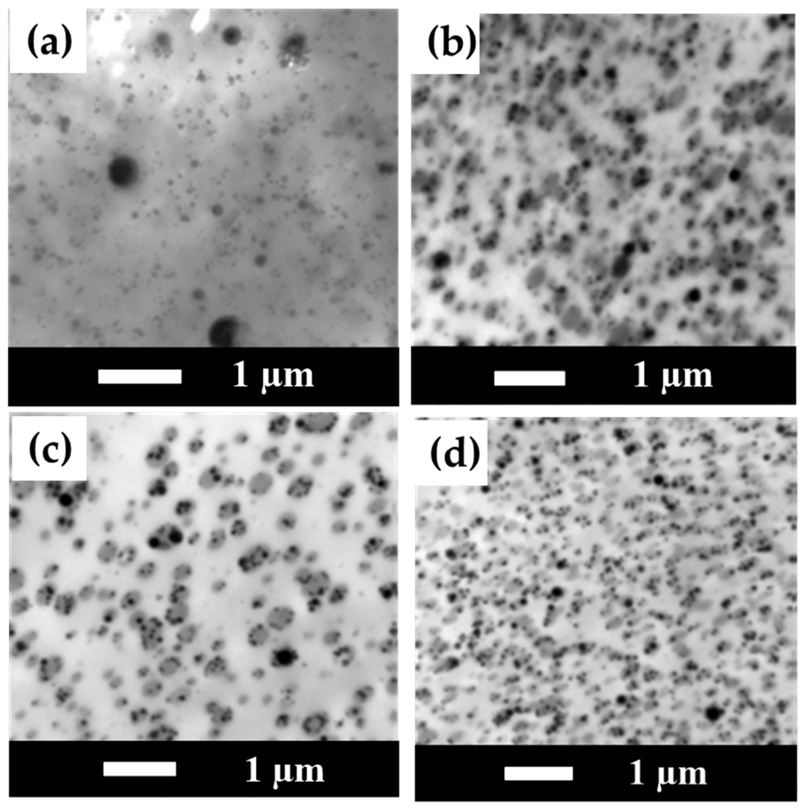 Polymers 15 04585 g010