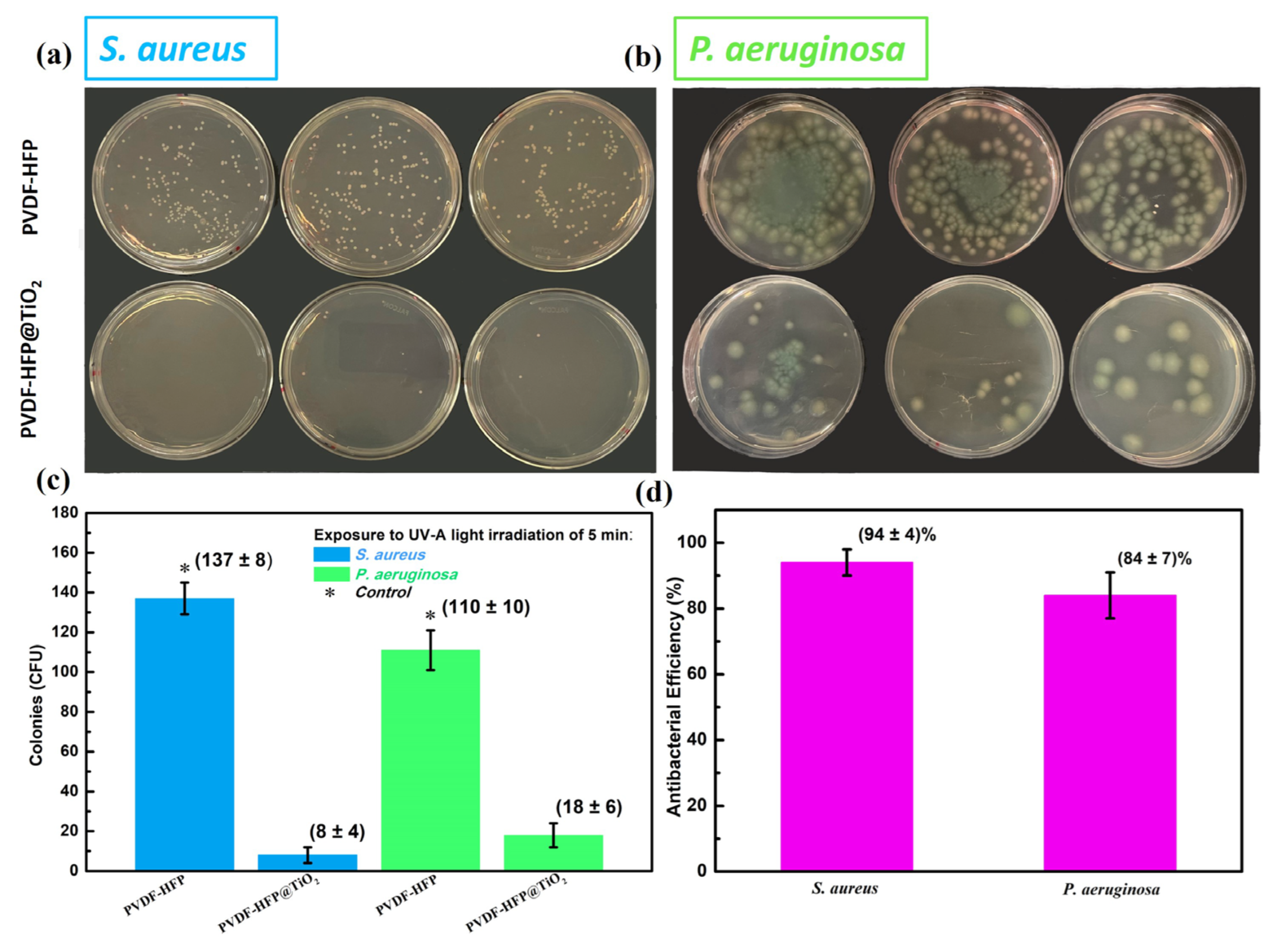 Polymers 15 04586 g003 Polymers 15 04586 g003