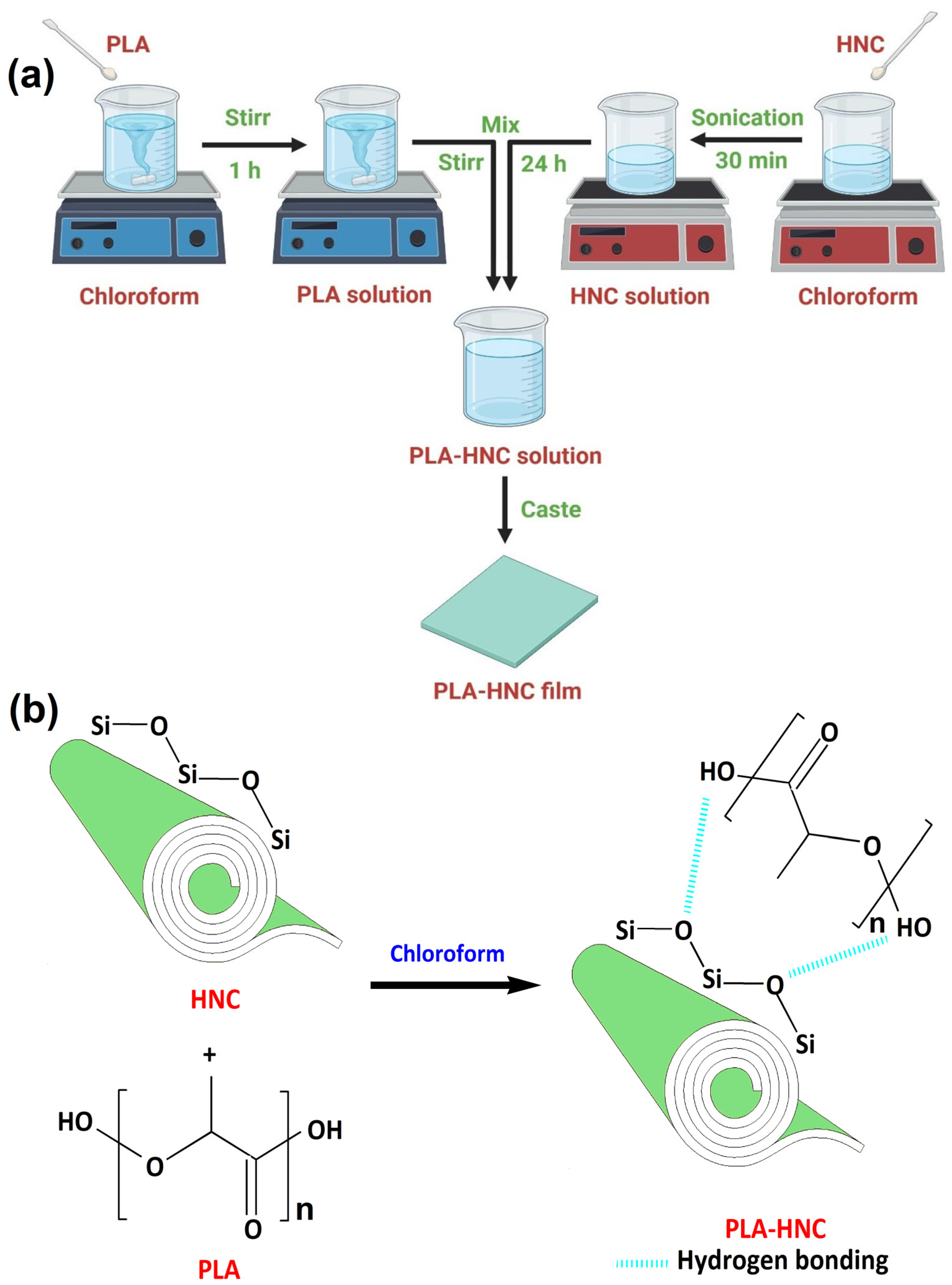 Polymers 15 04587 g001