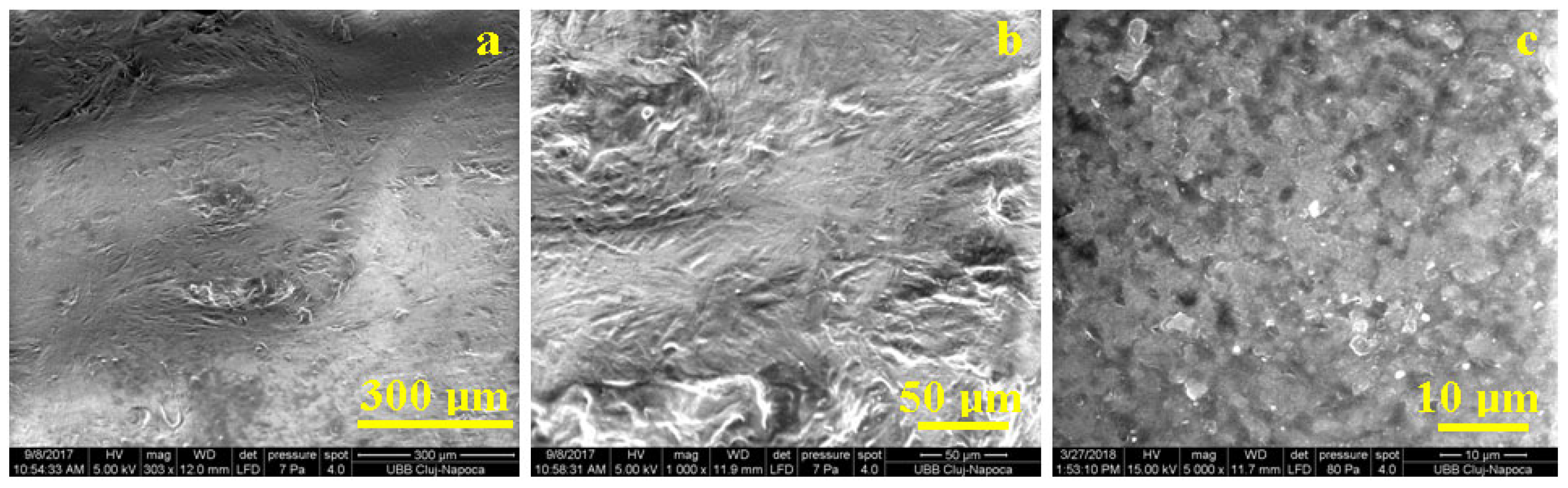 Polymers 15 04591 g006