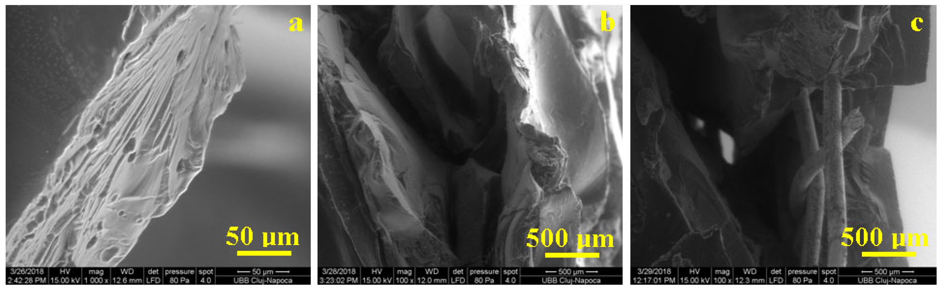 Polymers 15 04591 g008