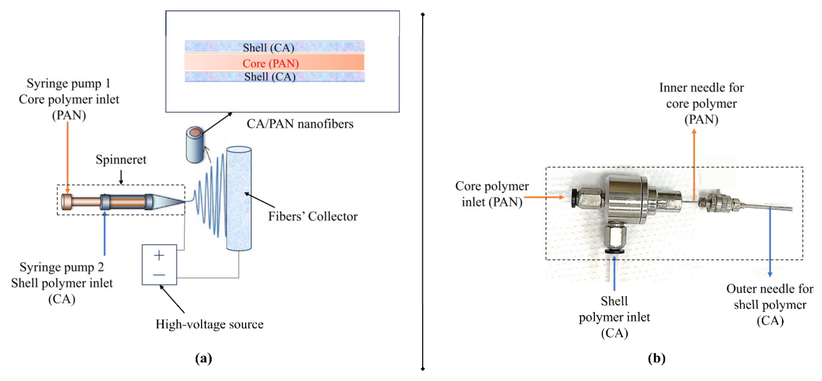 Polymers 15 04594 g001