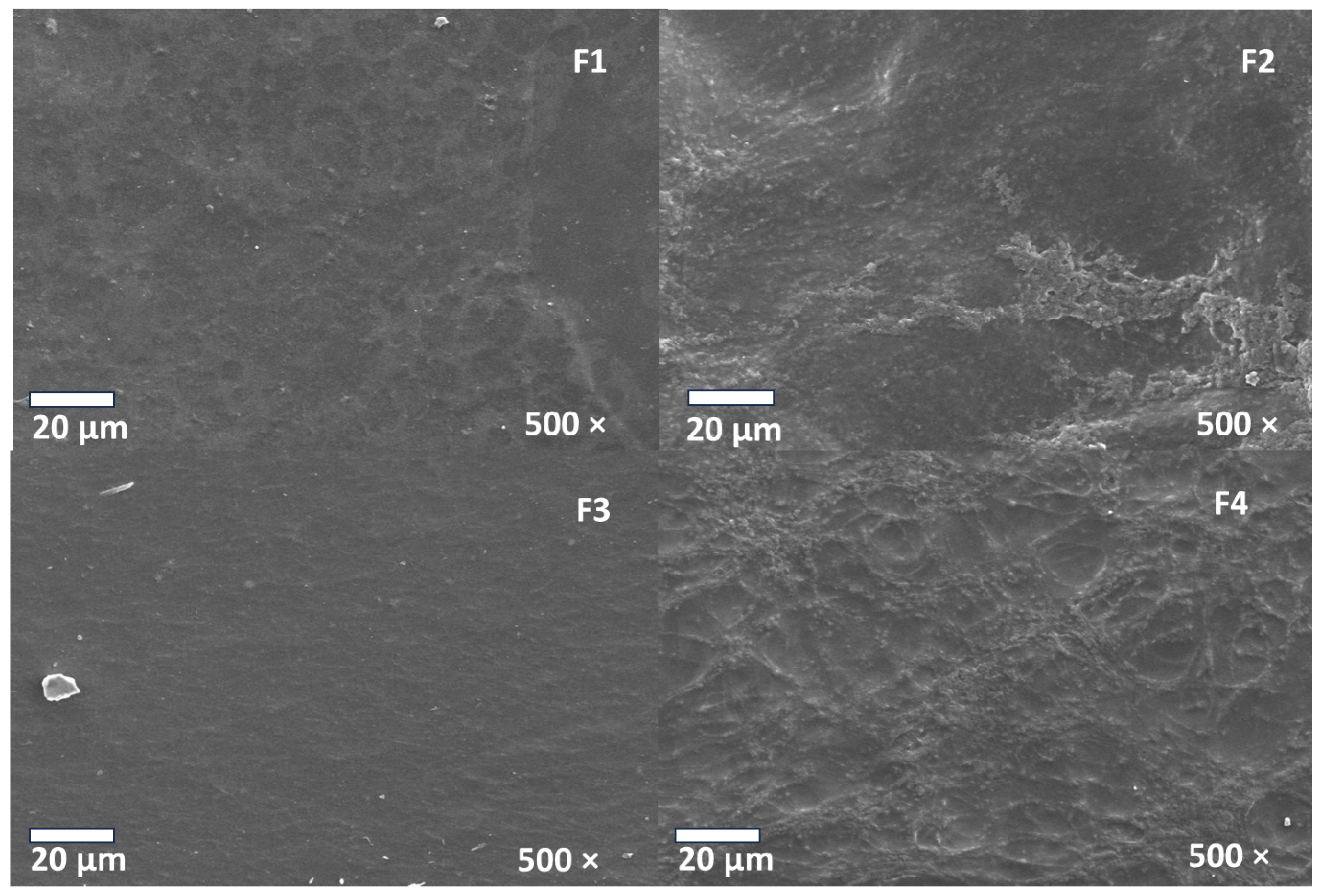 Polymers 15 04595 g005