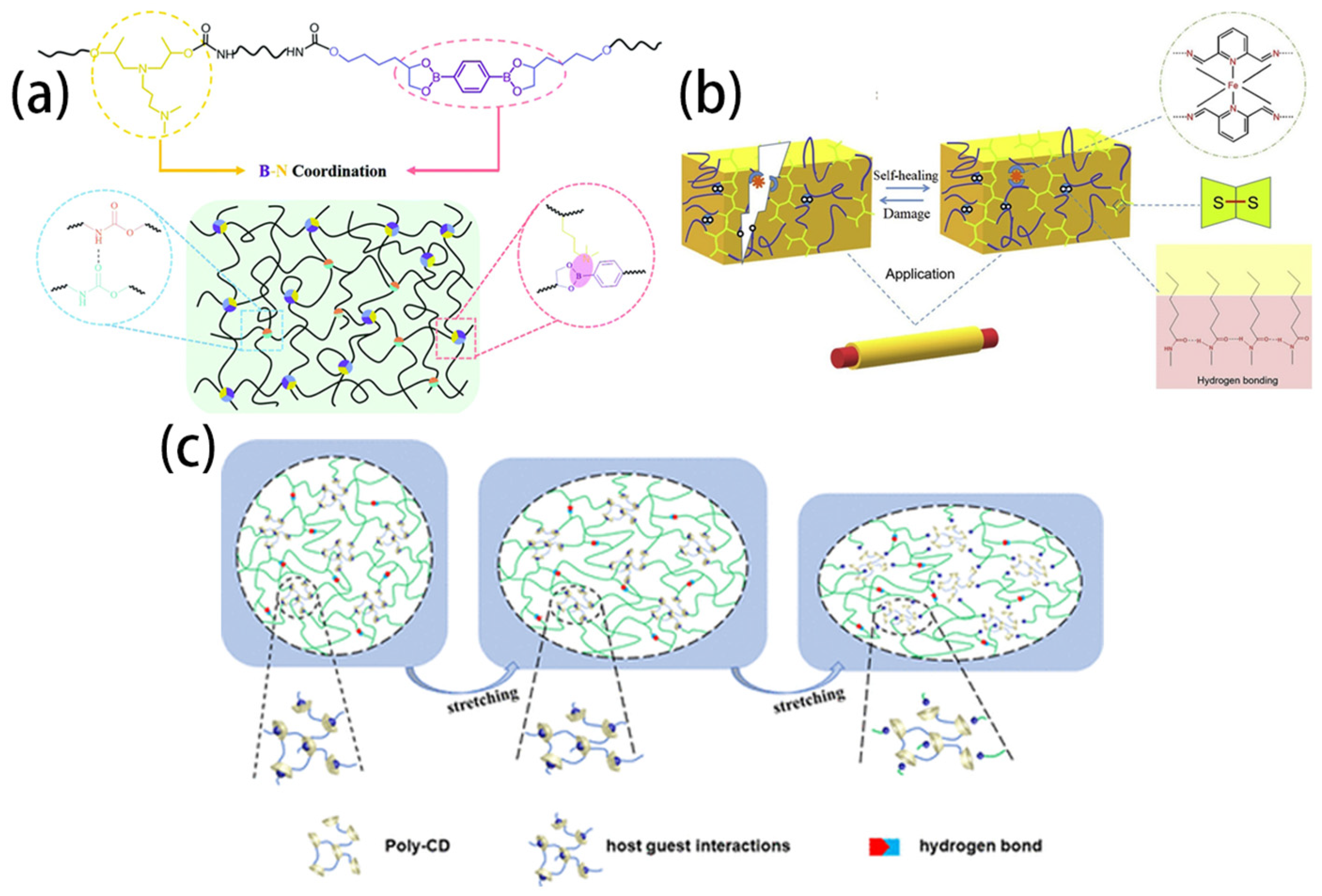 Polymers 15 04596 g003