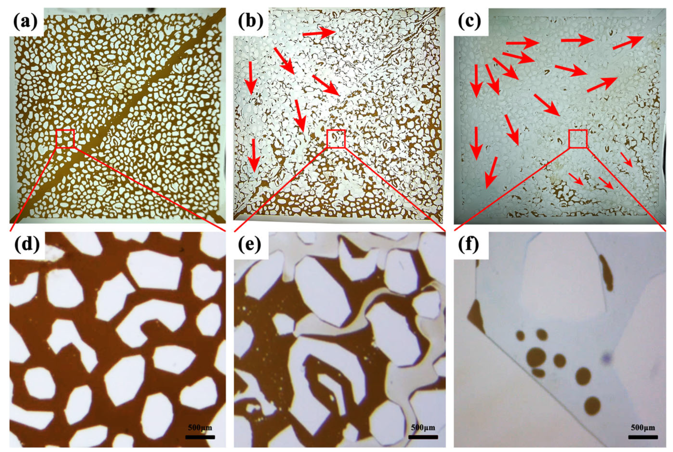 Polymers 15 04606 g012