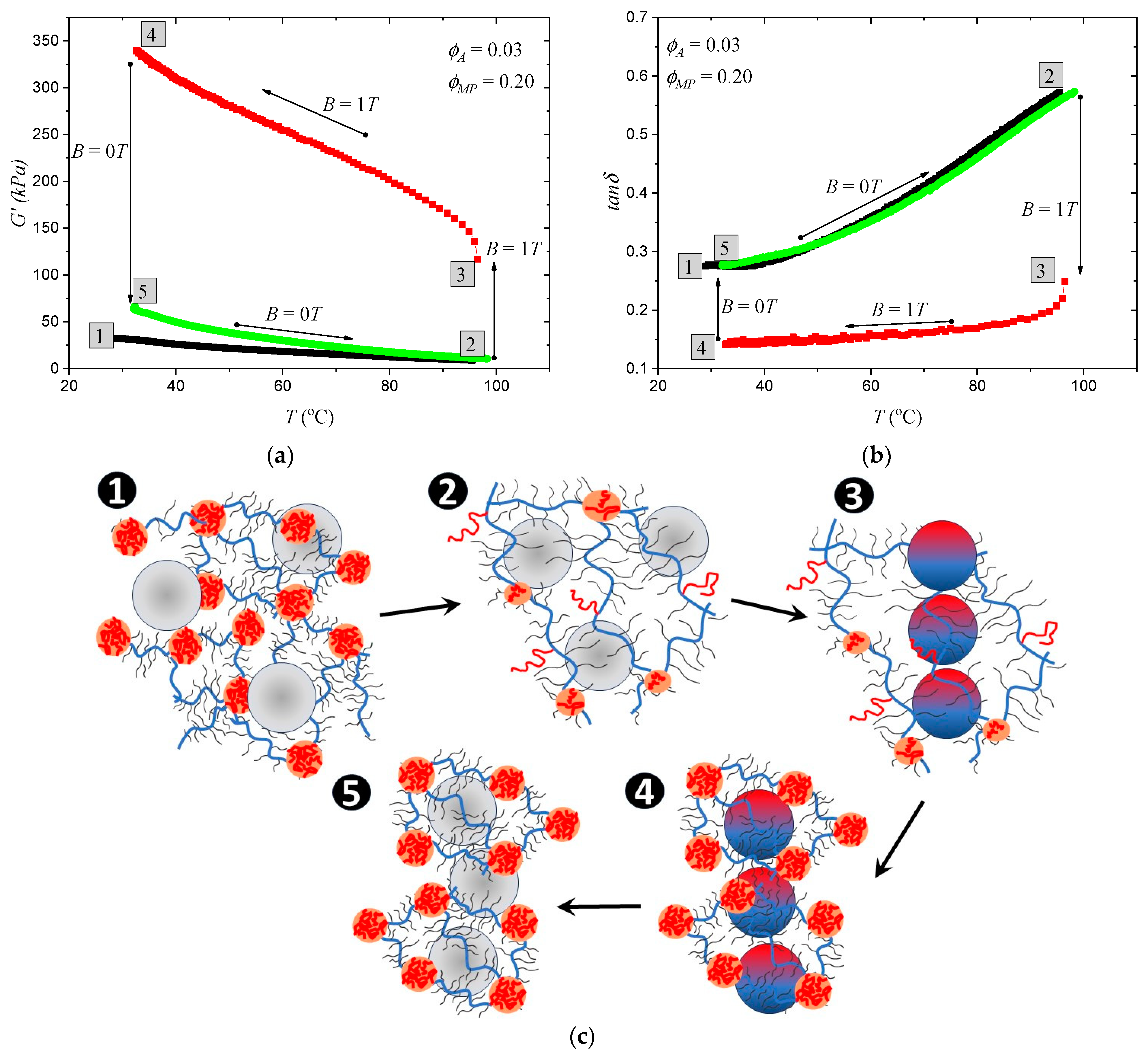 Polymers 15 04607 g003a Polymers 15 04607 g003a