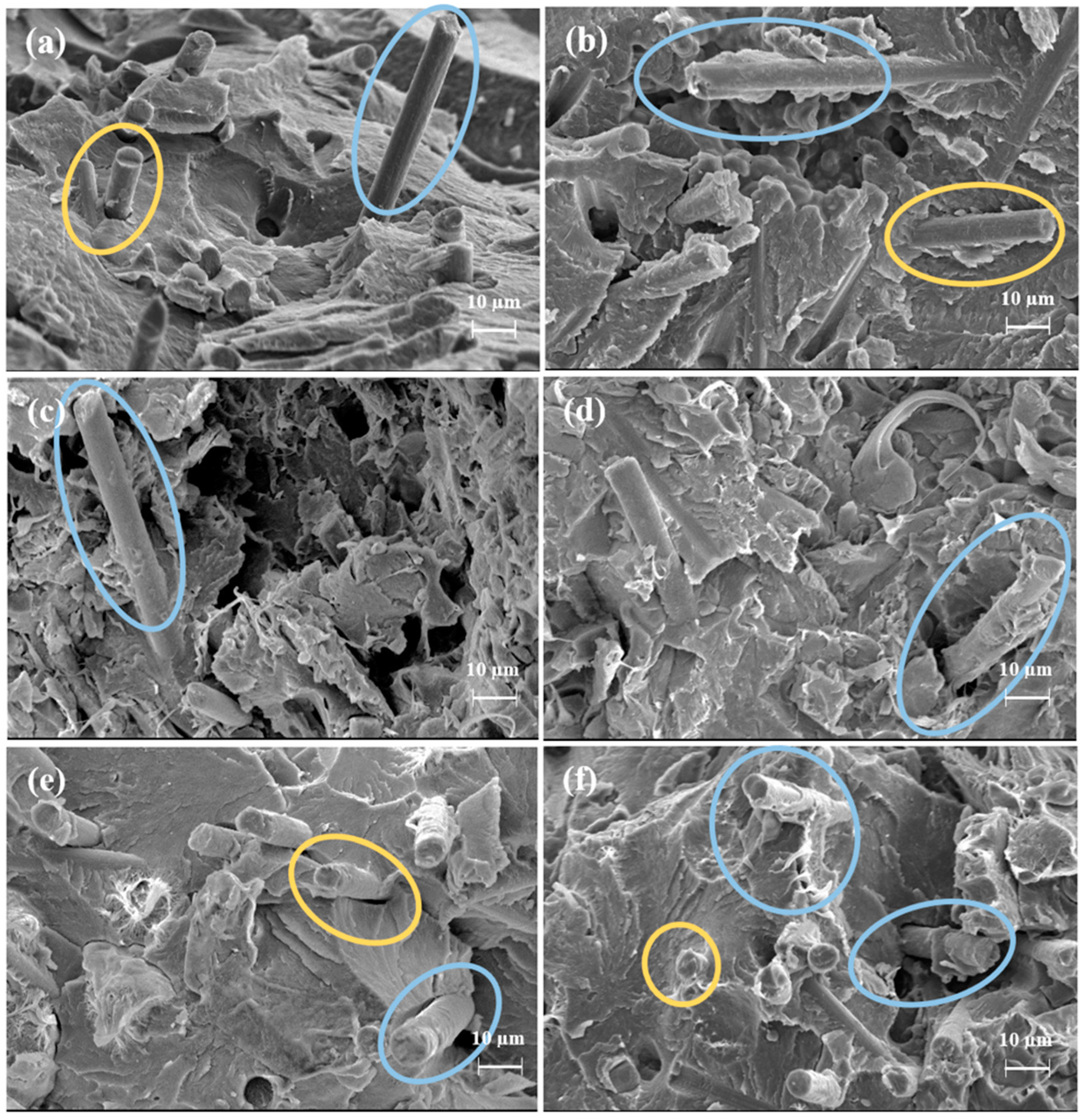 Polymers 15 04608 g008
