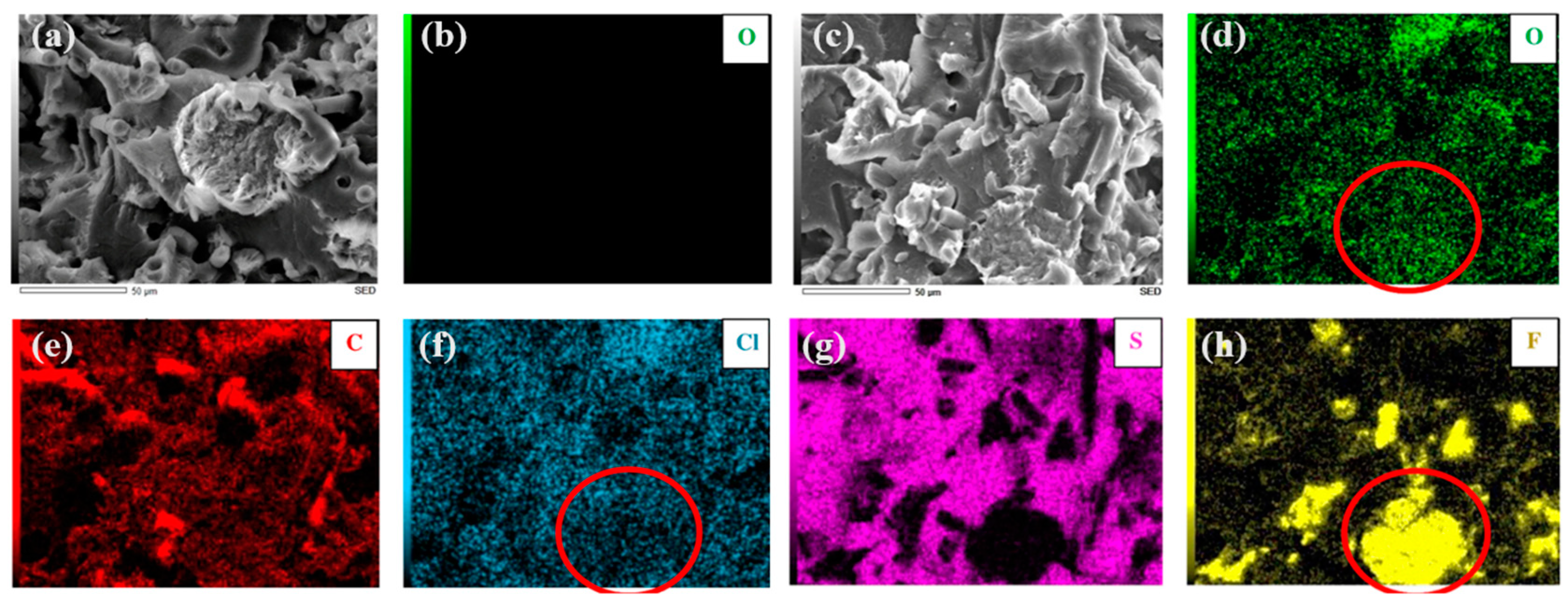 Polymers 15 04608 g009