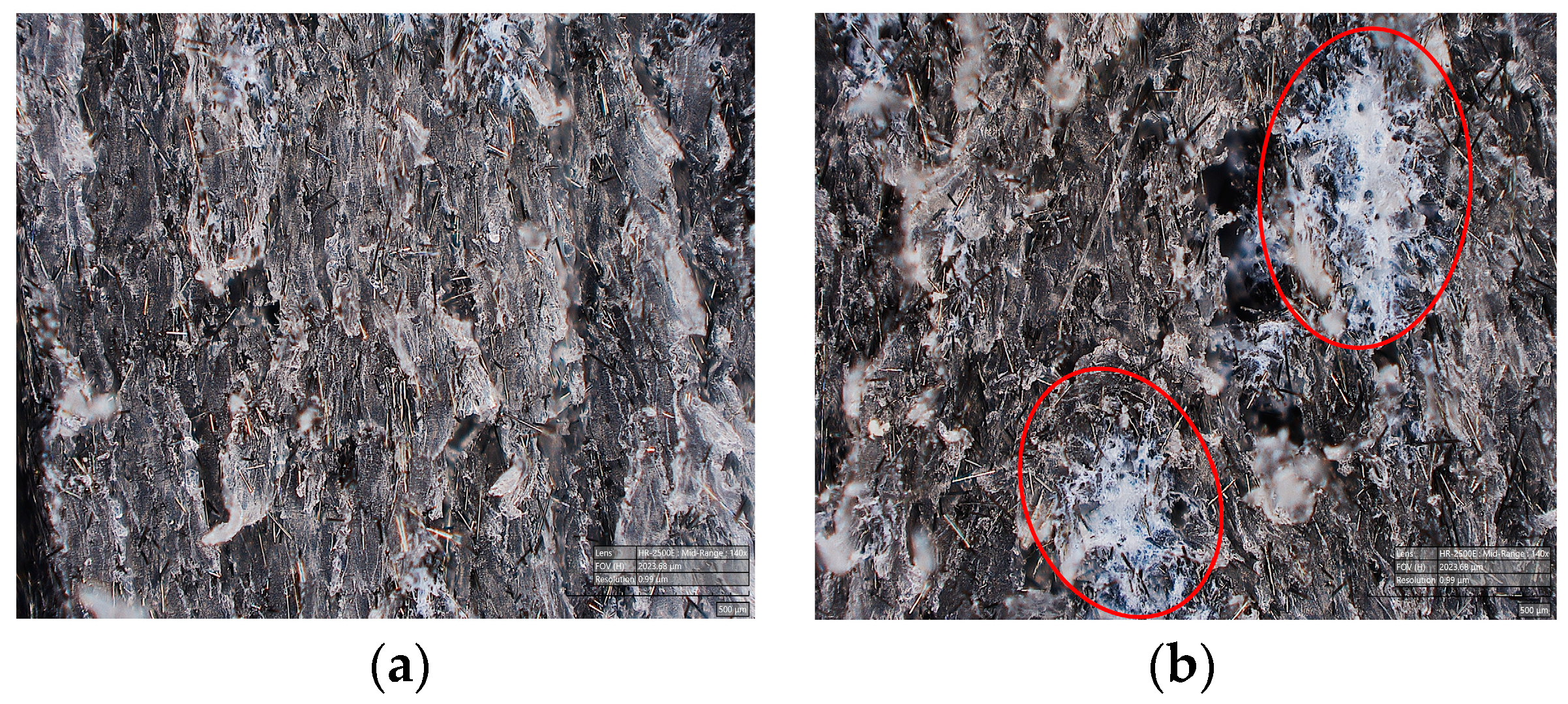 Polymers 15 04608 g012