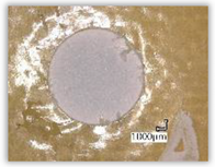 Polymers 15 04609 i002