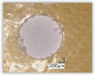 Polymers 15 04609 i004