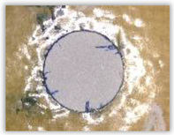 Polymers 15 04609 i006