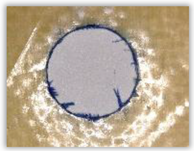 Polymers 15 04609 i007