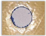 Polymers 15 04609 i008