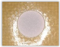 Polymers 15 04609 i009