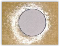 Polymers 15 04609 i013