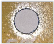 Polymers 15 04609 i015