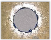 Polymers 15 04609 i024