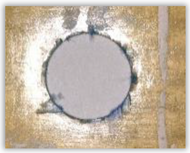 Polymers 15 04609 i032