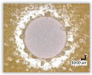 Polymers 15 04609 i033