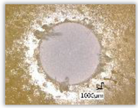 Polymers 15 04609 i034